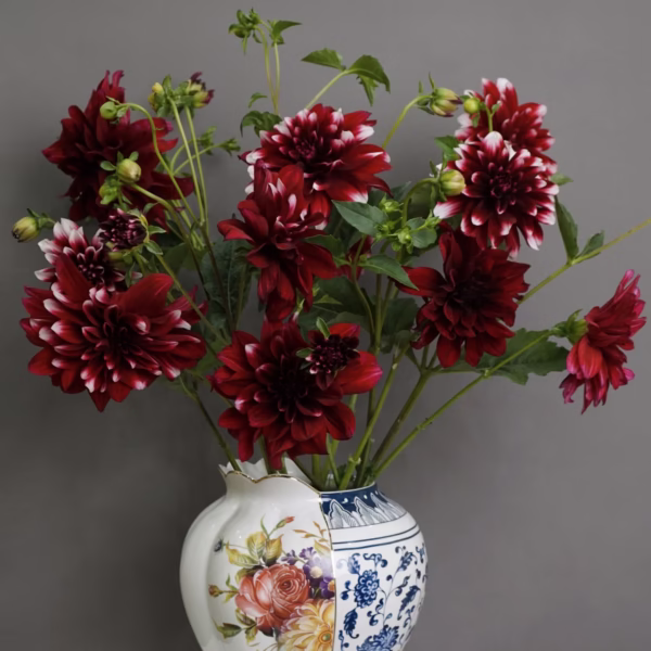 Bình hai mặt Those Times