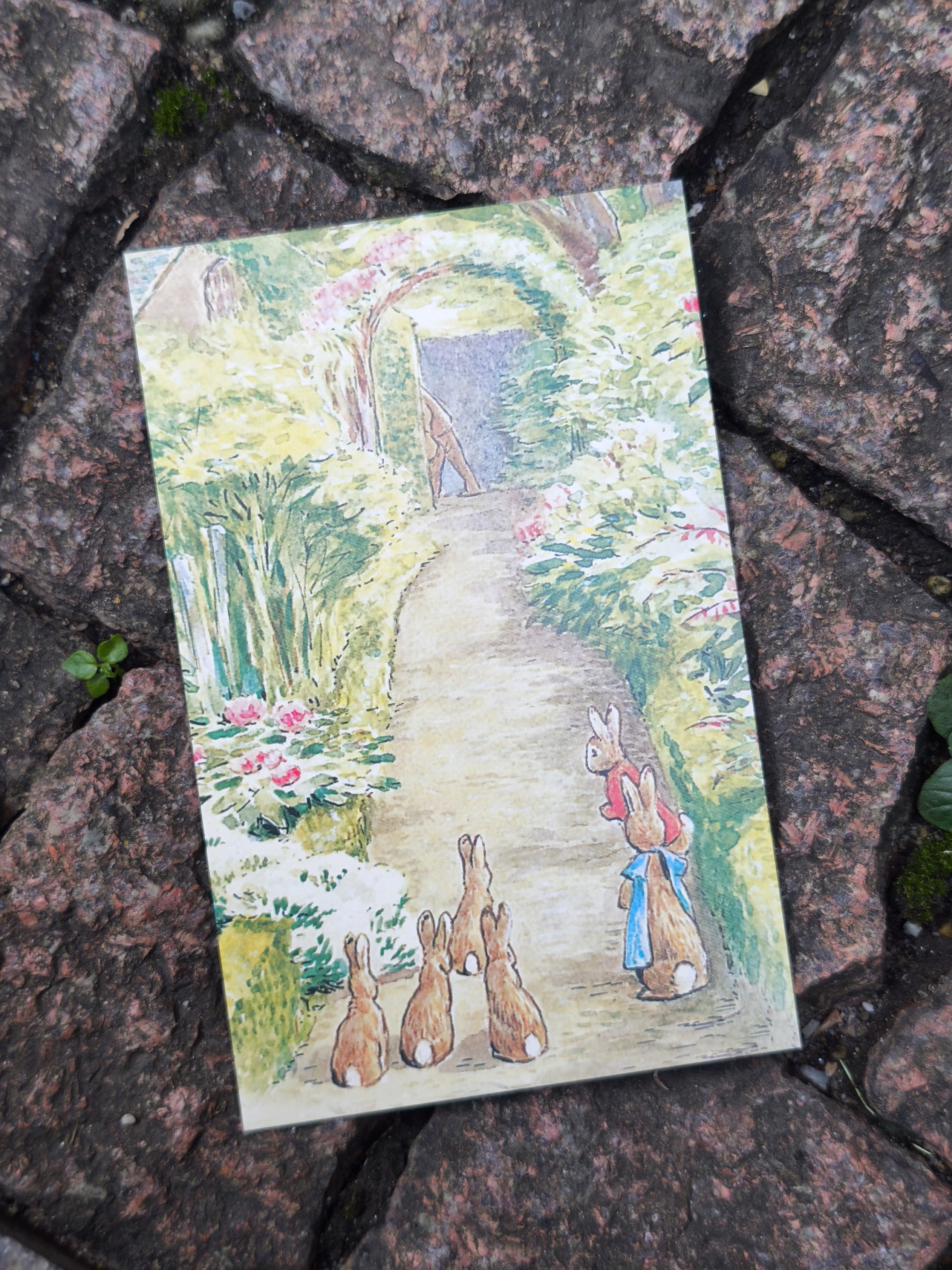 The World of Peter Rabbit: A Box of Postcards