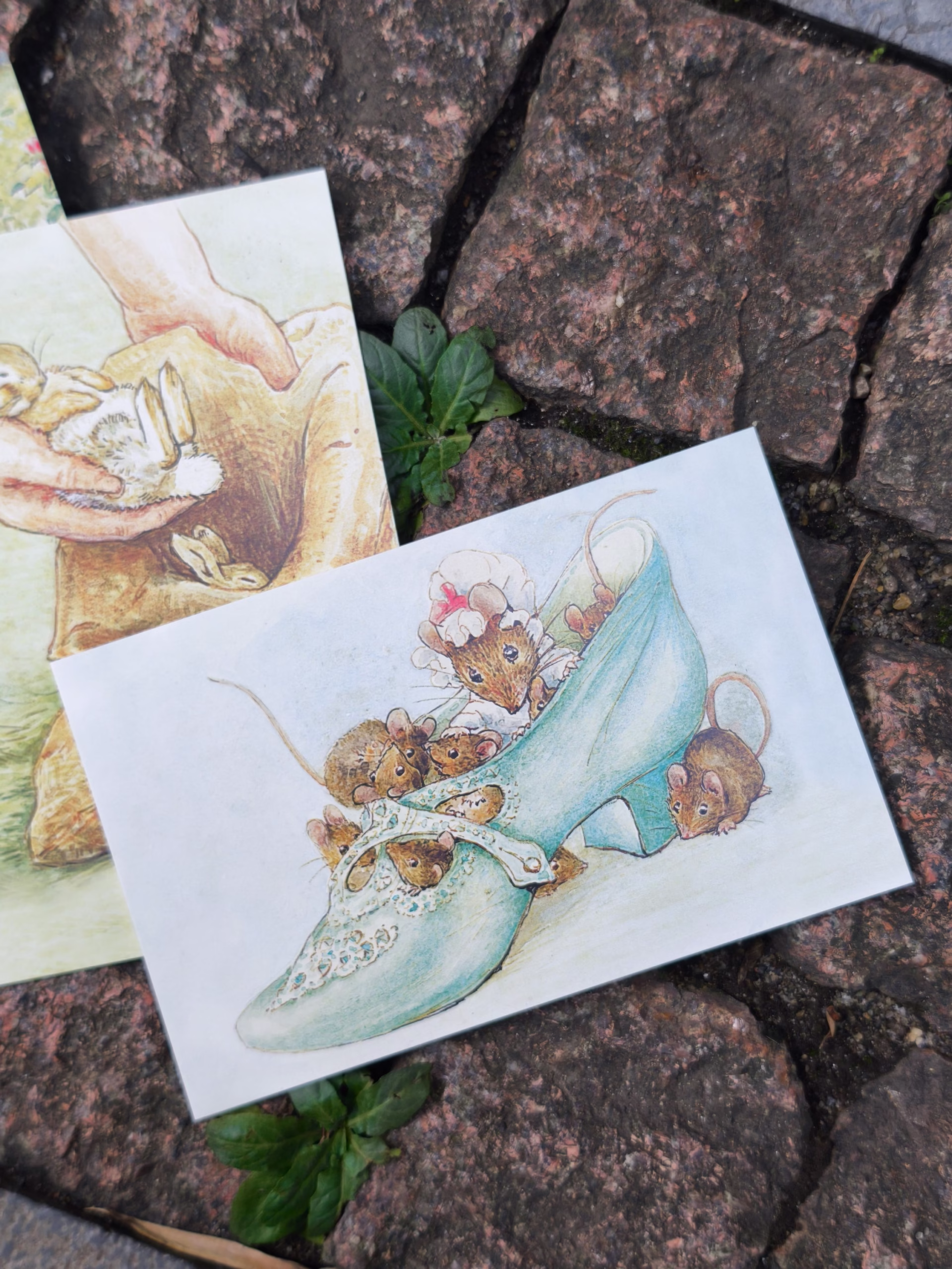 The World of Peter Rabbit: A Box of Postcards