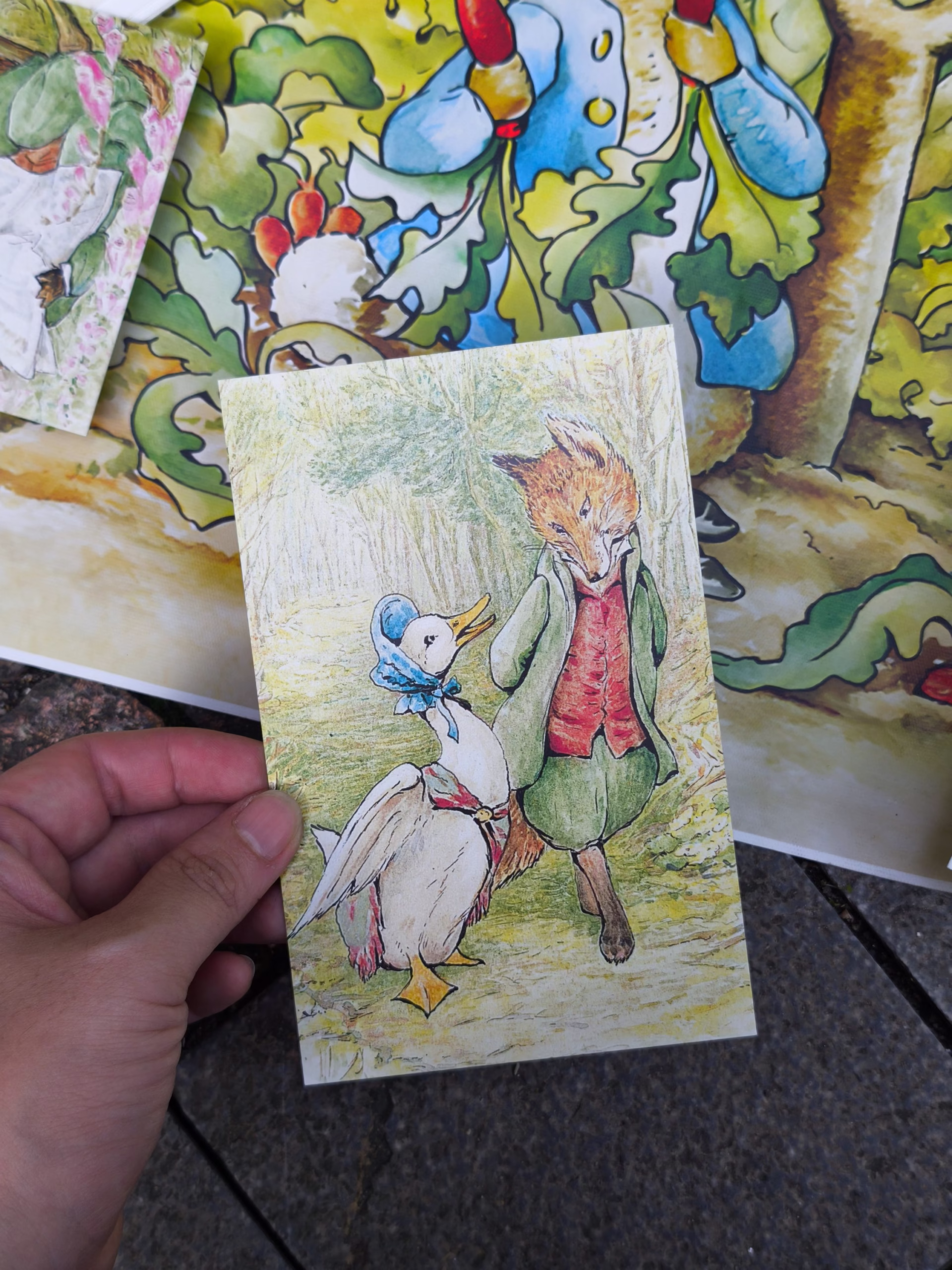 The World of Peter Rabbit: A Box of Postcards