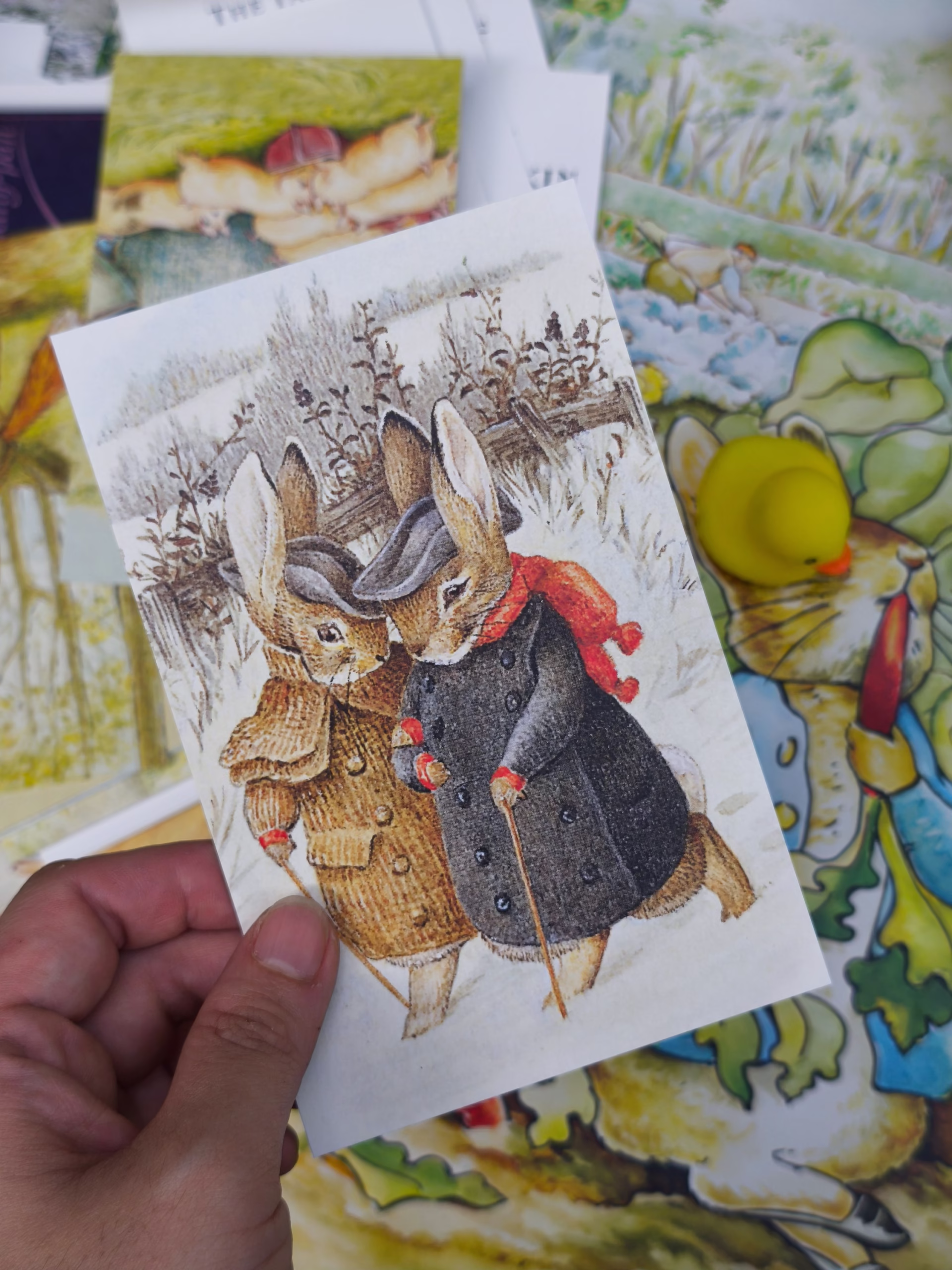 The World of Peter Rabbit: A Box of Postcards