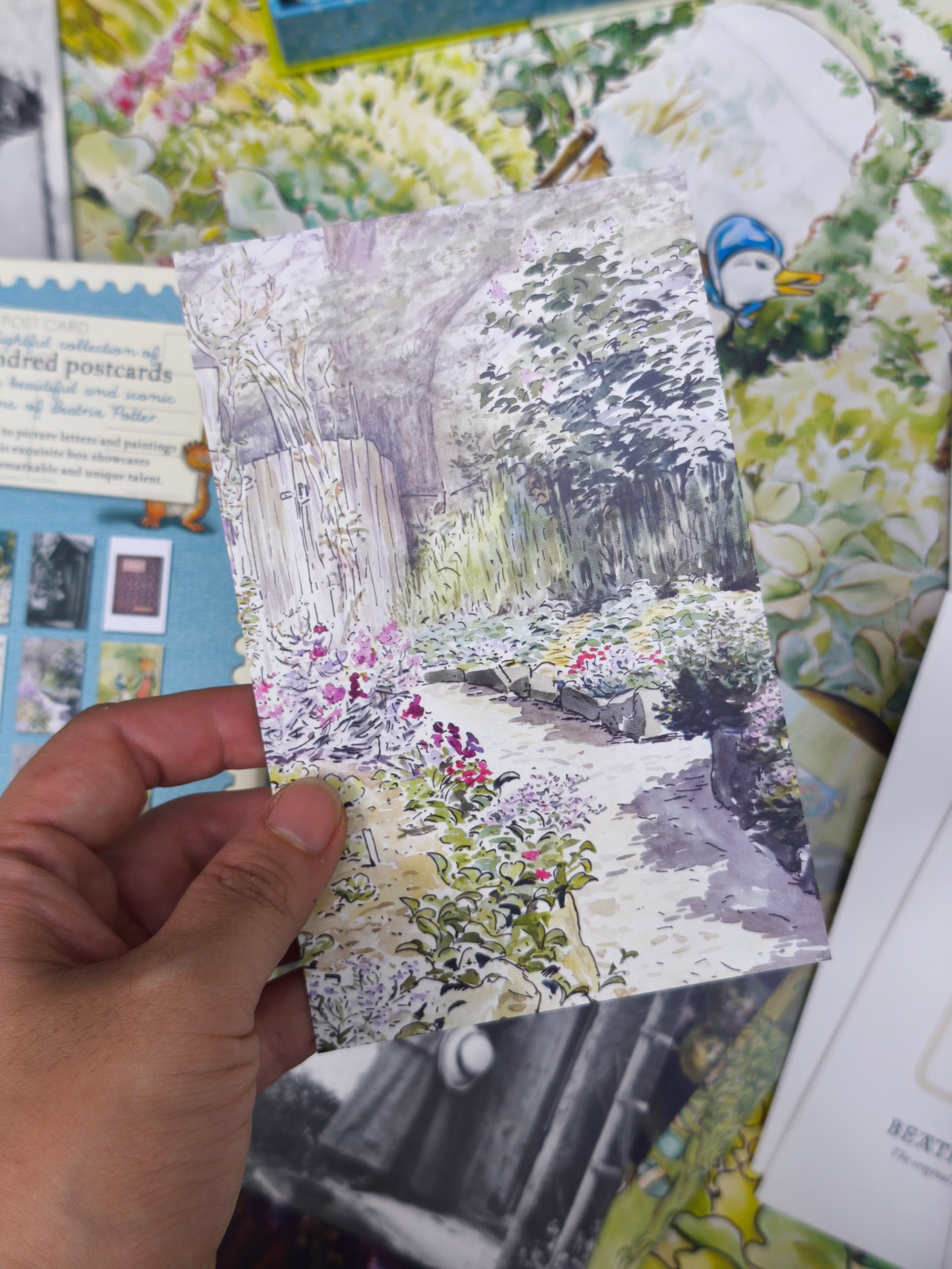 The World of Peter Rabbit: A Box of Postcards