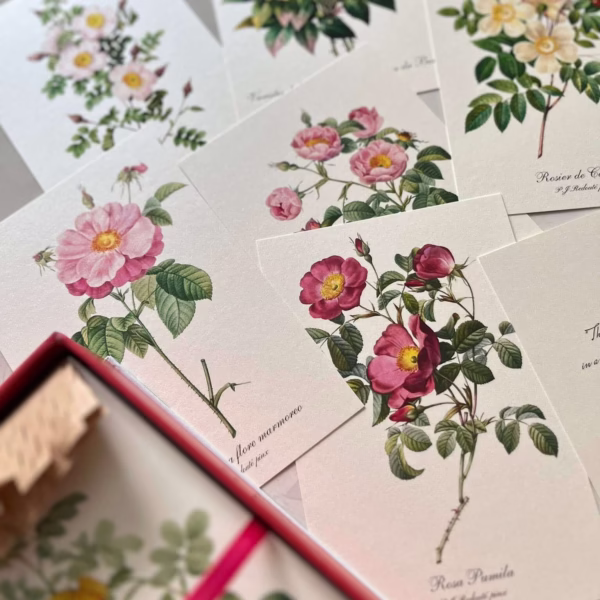 Box Set 100 postcard hoa hồng Redoute - Art Museum series