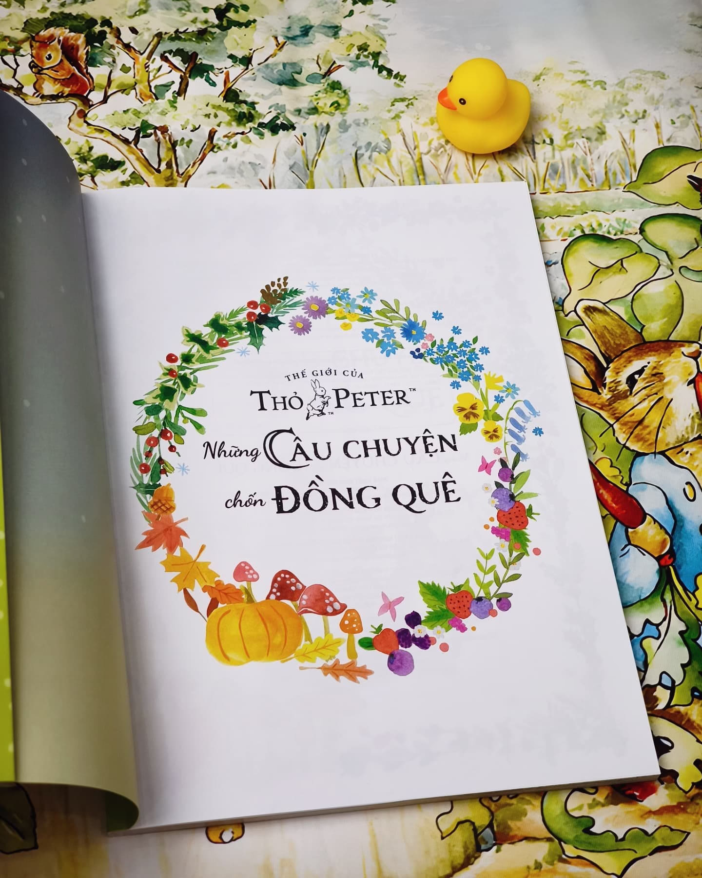 Thế giới của thỏ Peter - Những câu chuyện chốn đồng quê