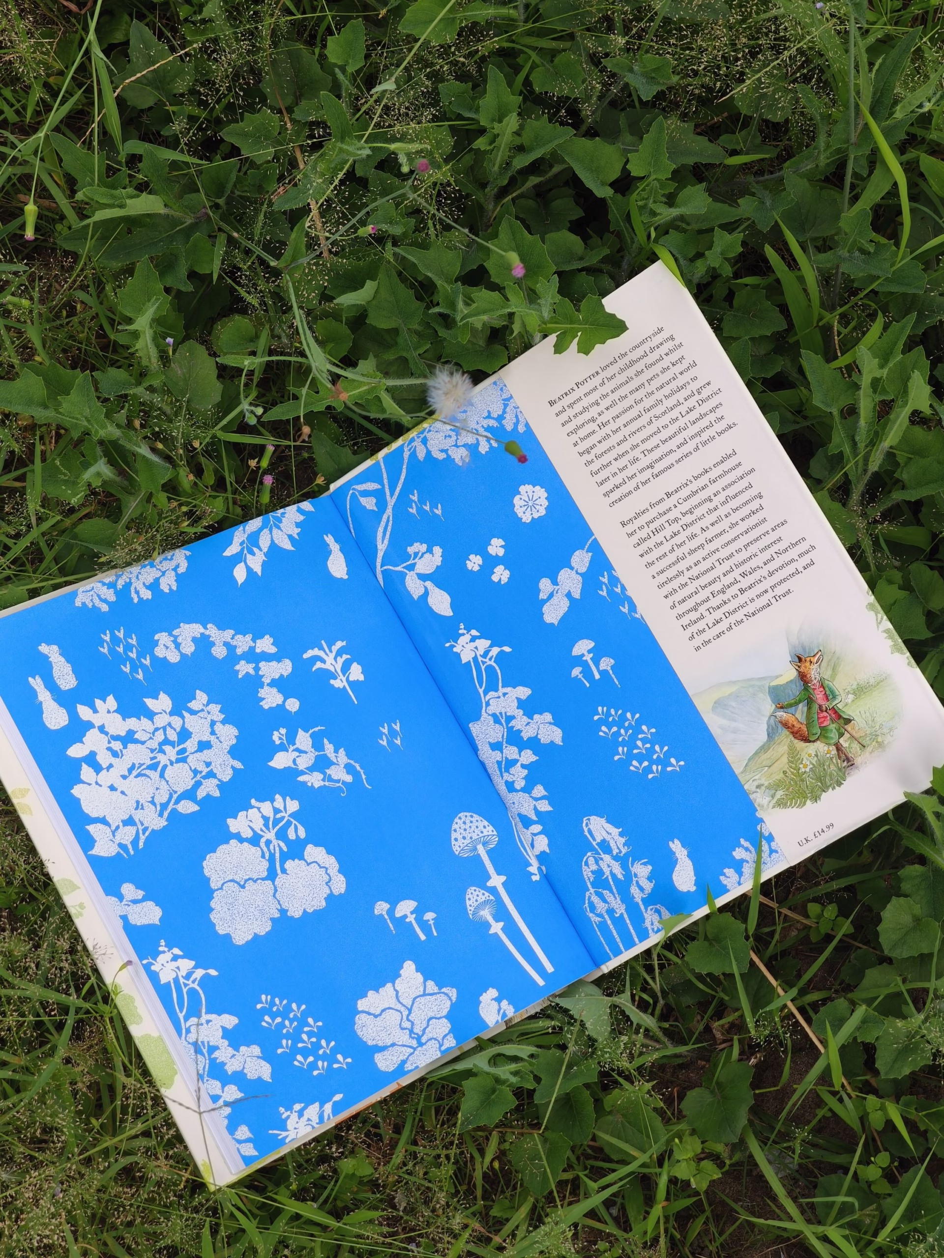 The Complete Adventures of Peter Rabbit
