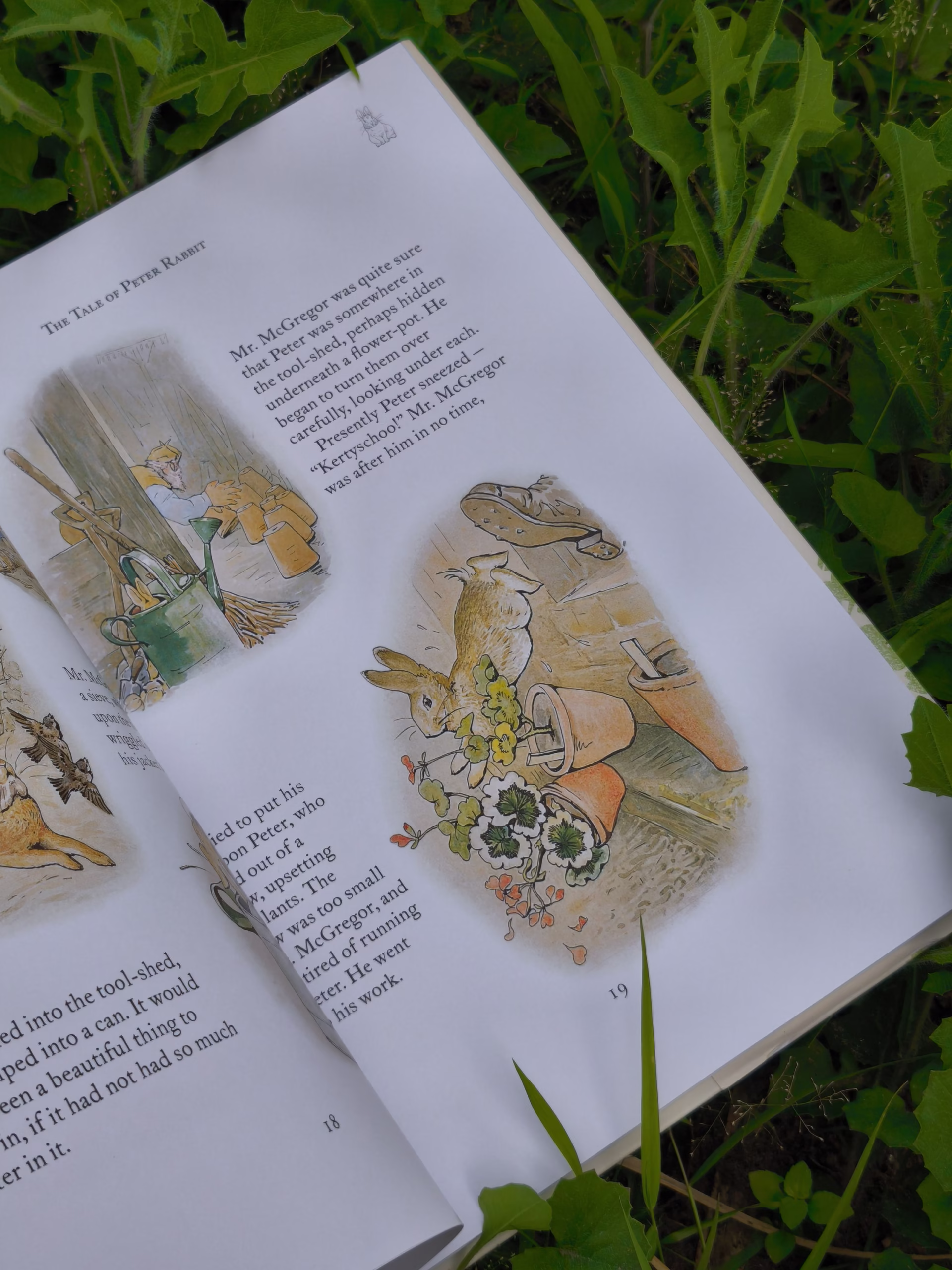 The Complete Adventures of Peter Rabbit