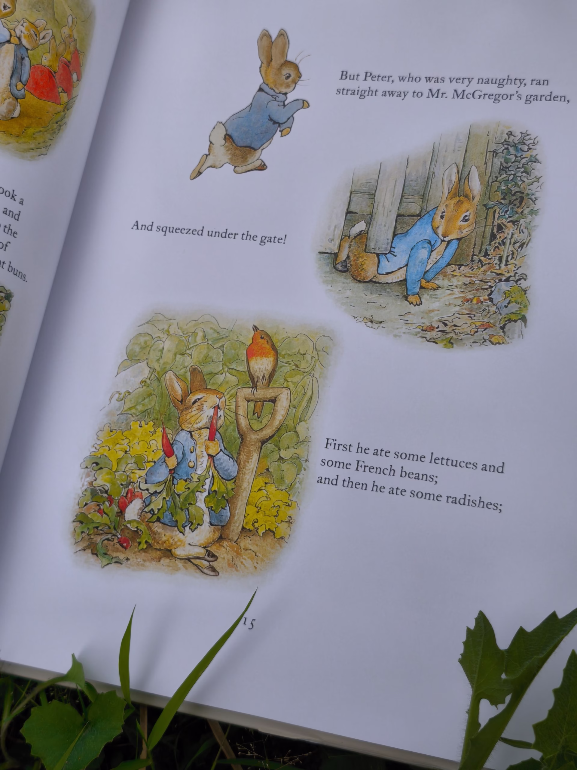 The Complete Adventures of Peter Rabbit
