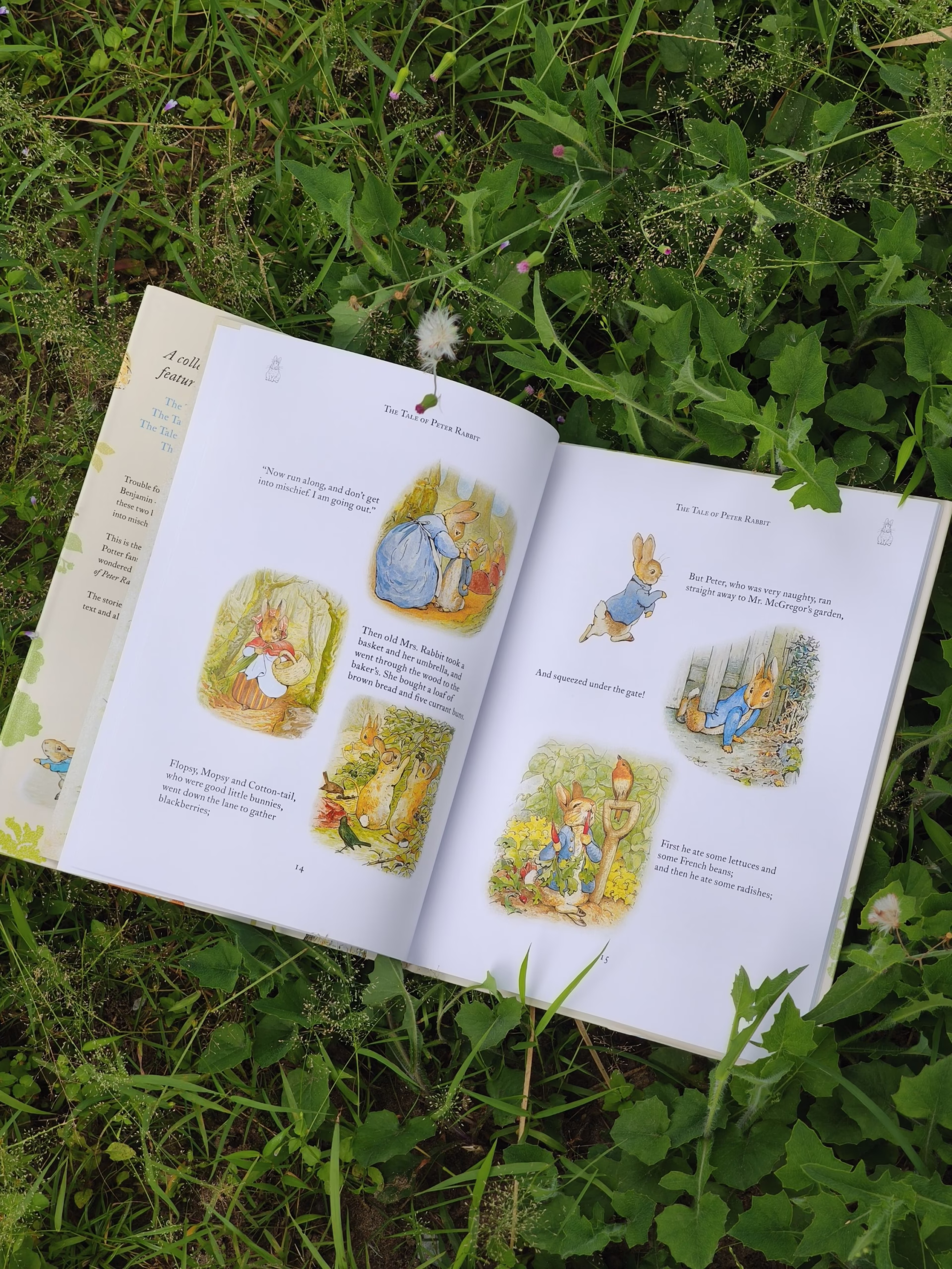 The Complete Adventures of Peter Rabbit