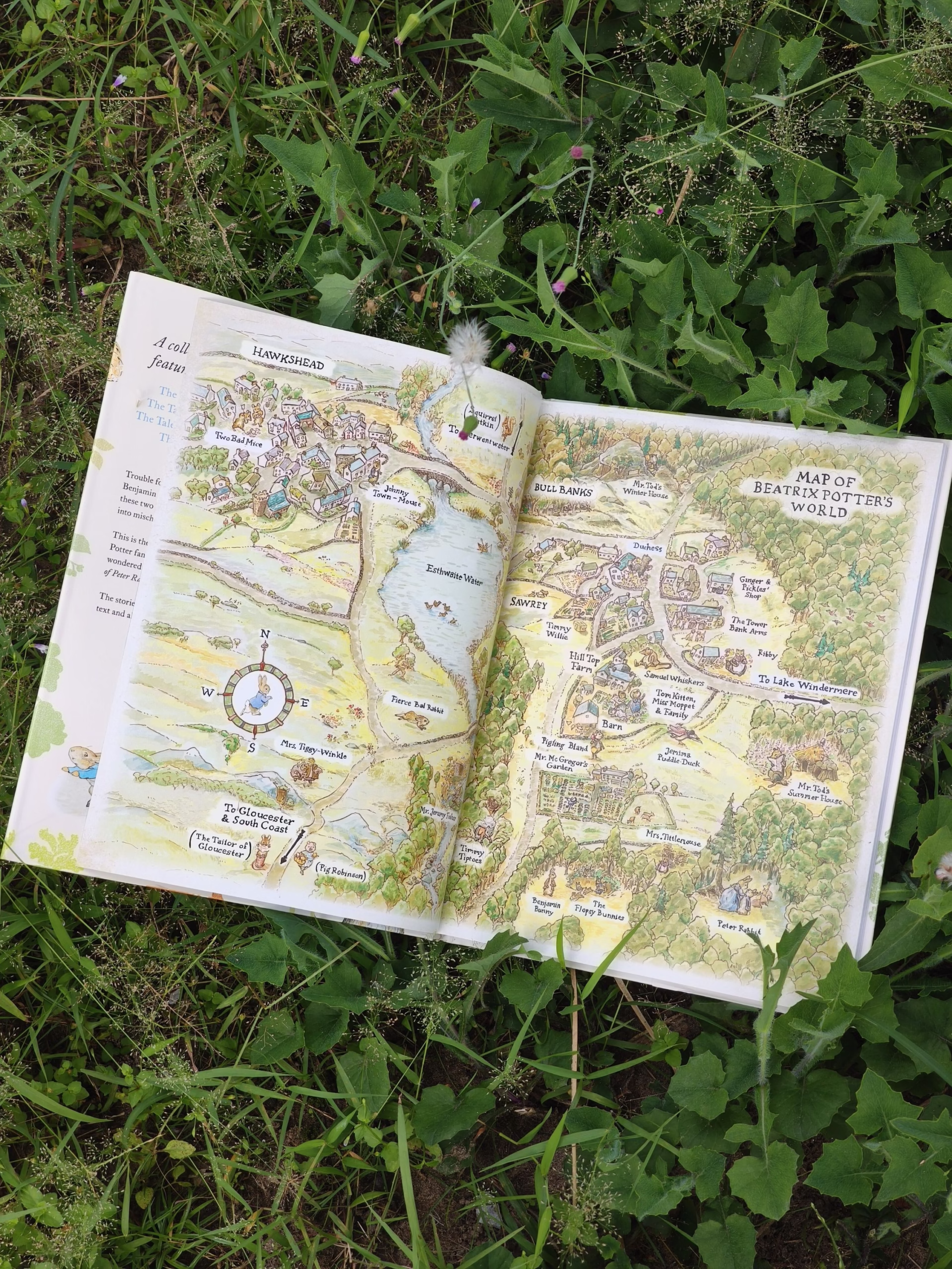 The Complete Adventures of Peter Rabbit