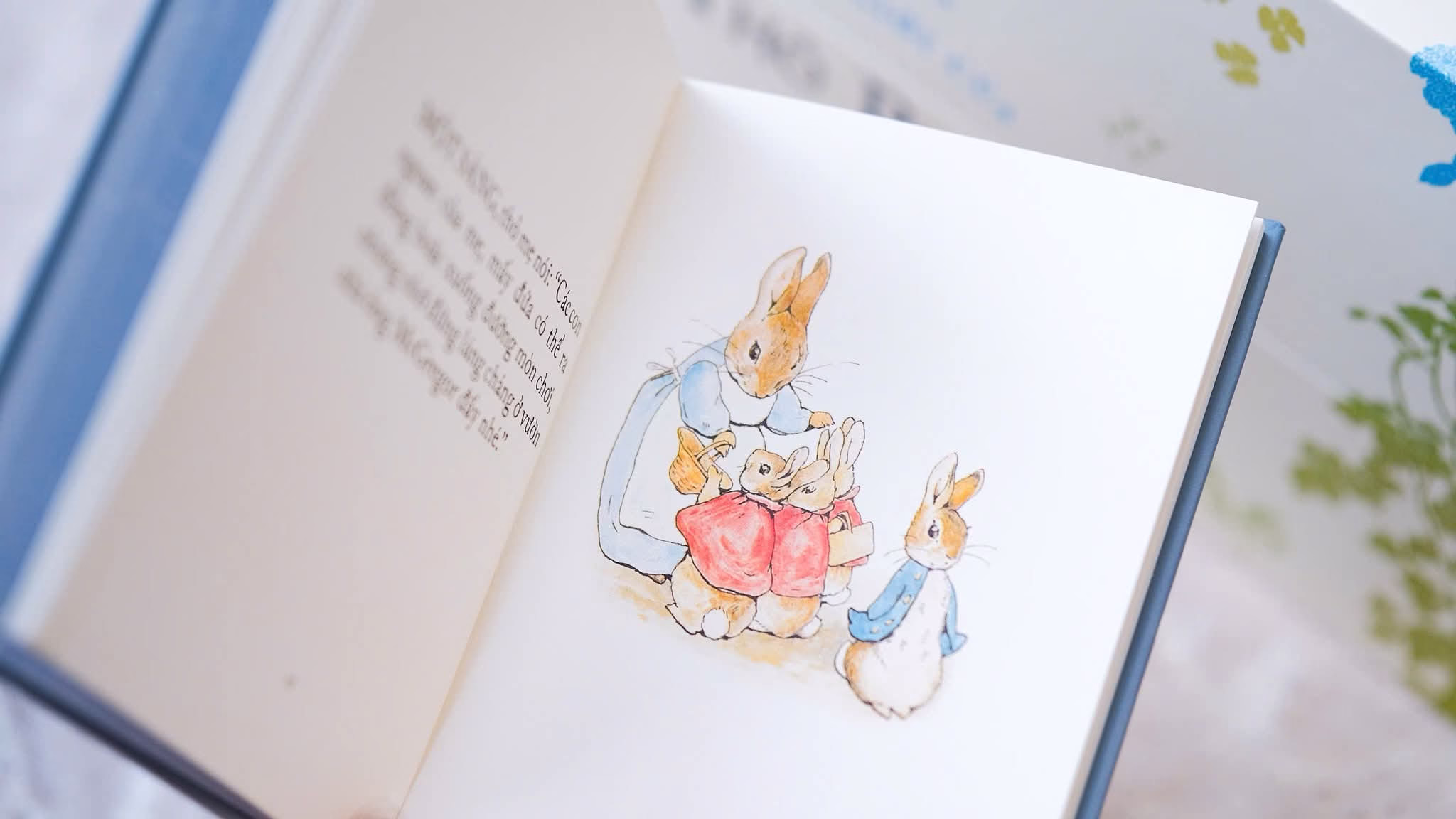 Boxset trọn bộ 23 tập - Thế giới thỏ Peter (NXB Kim Đồng)
