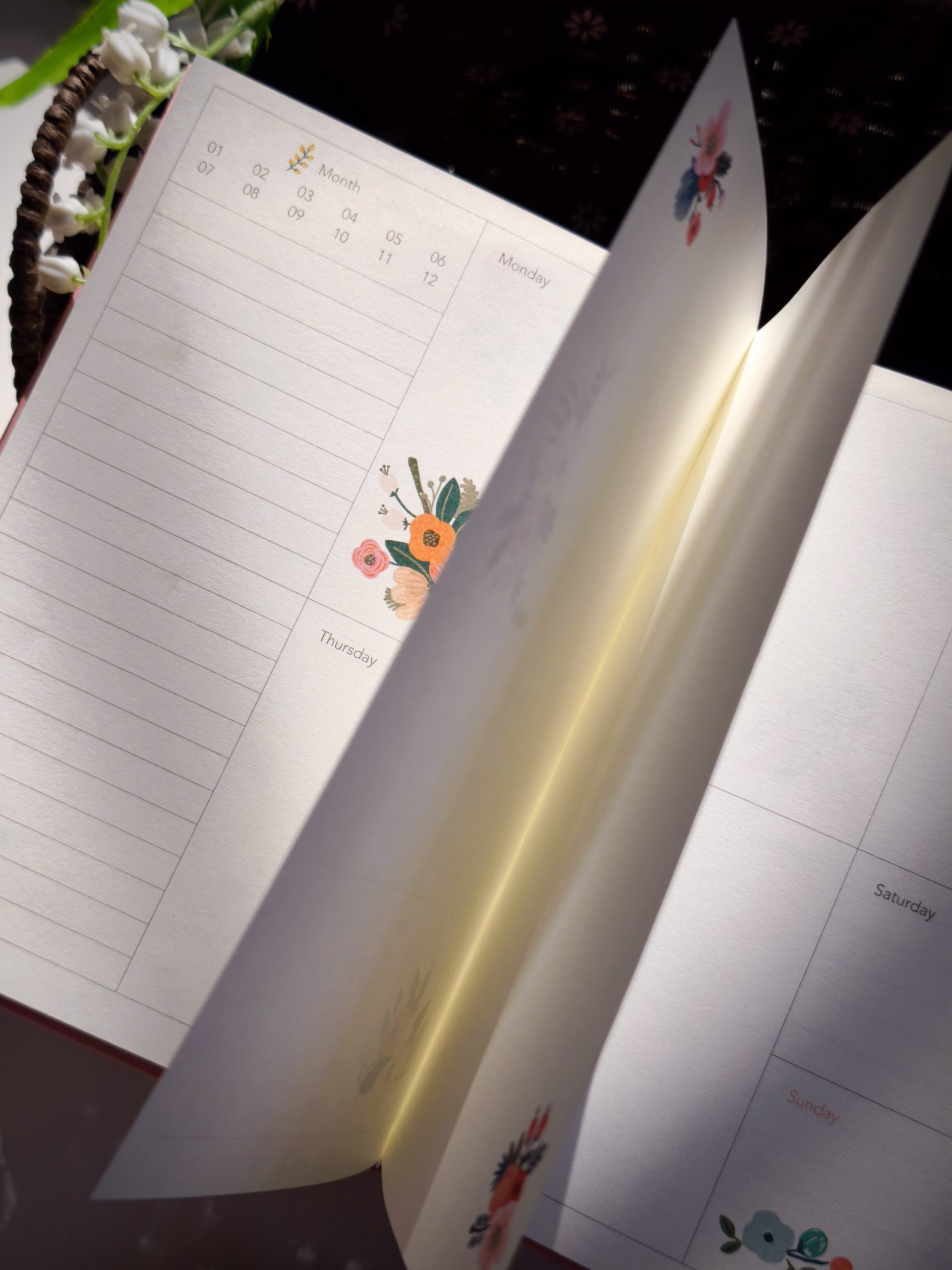 Sổ planner hoa Monarch