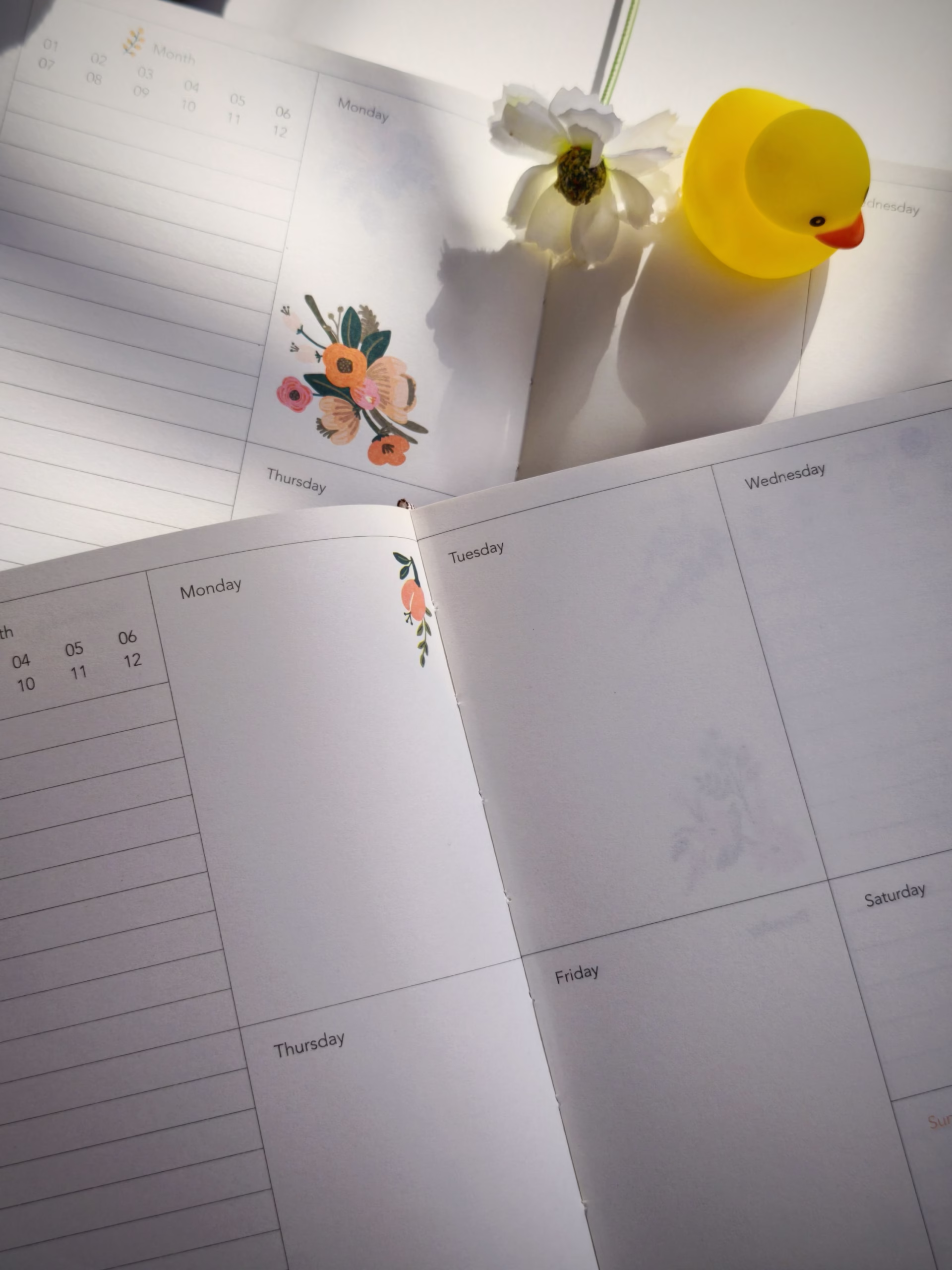 Sổ planner hoa Monarch