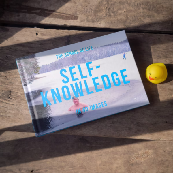Self-Knowledge in 40 Images: The Art of Self-Understanding: 2