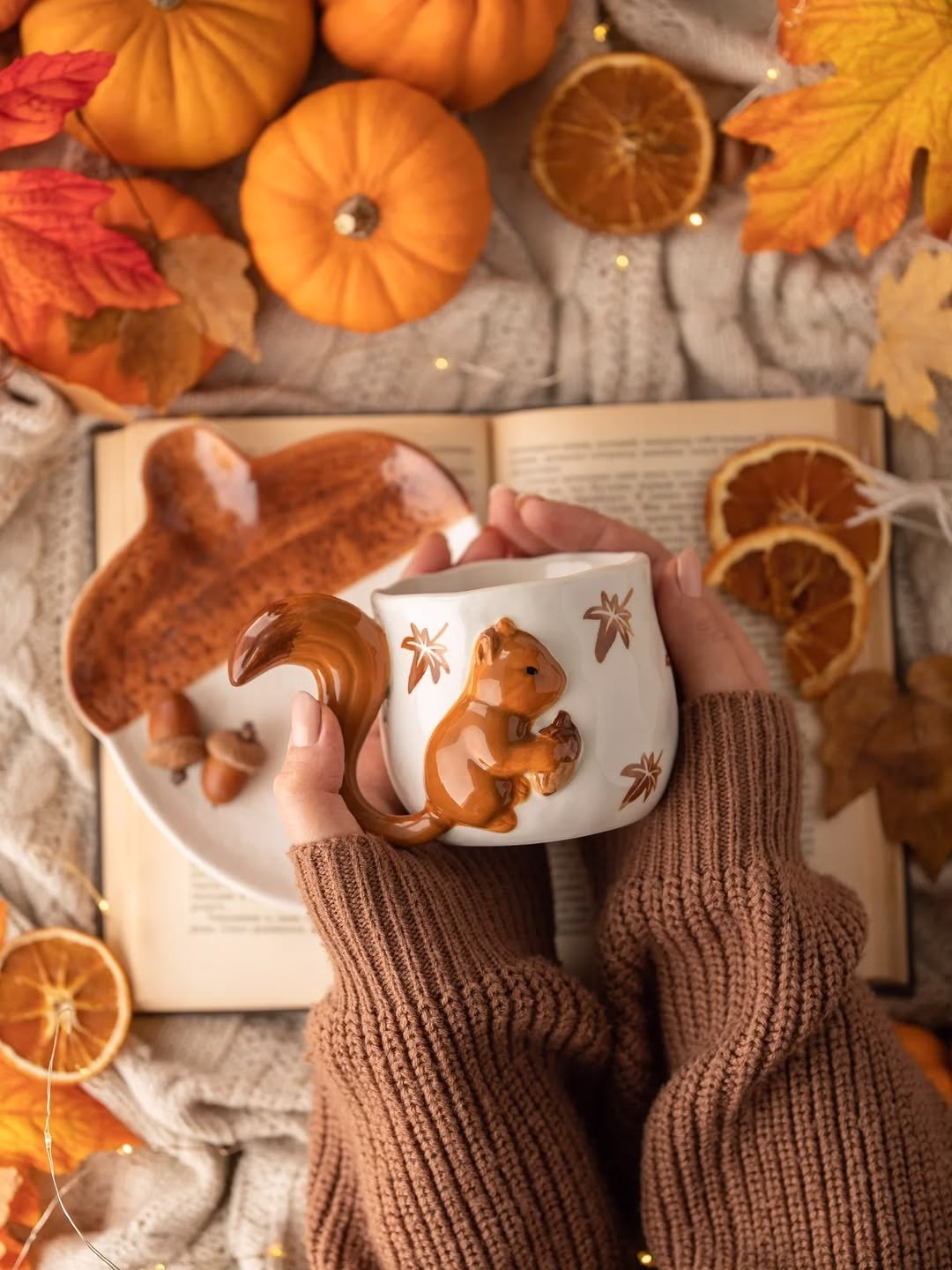 Set cốc sóc đĩa hạt dẻ