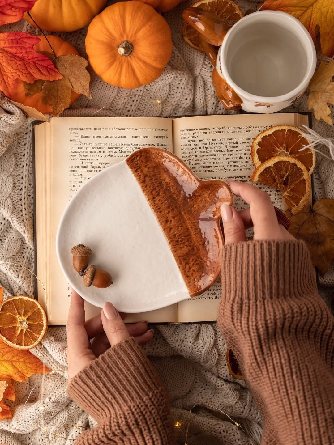 Set cốc sóc đĩa hạt dẻ