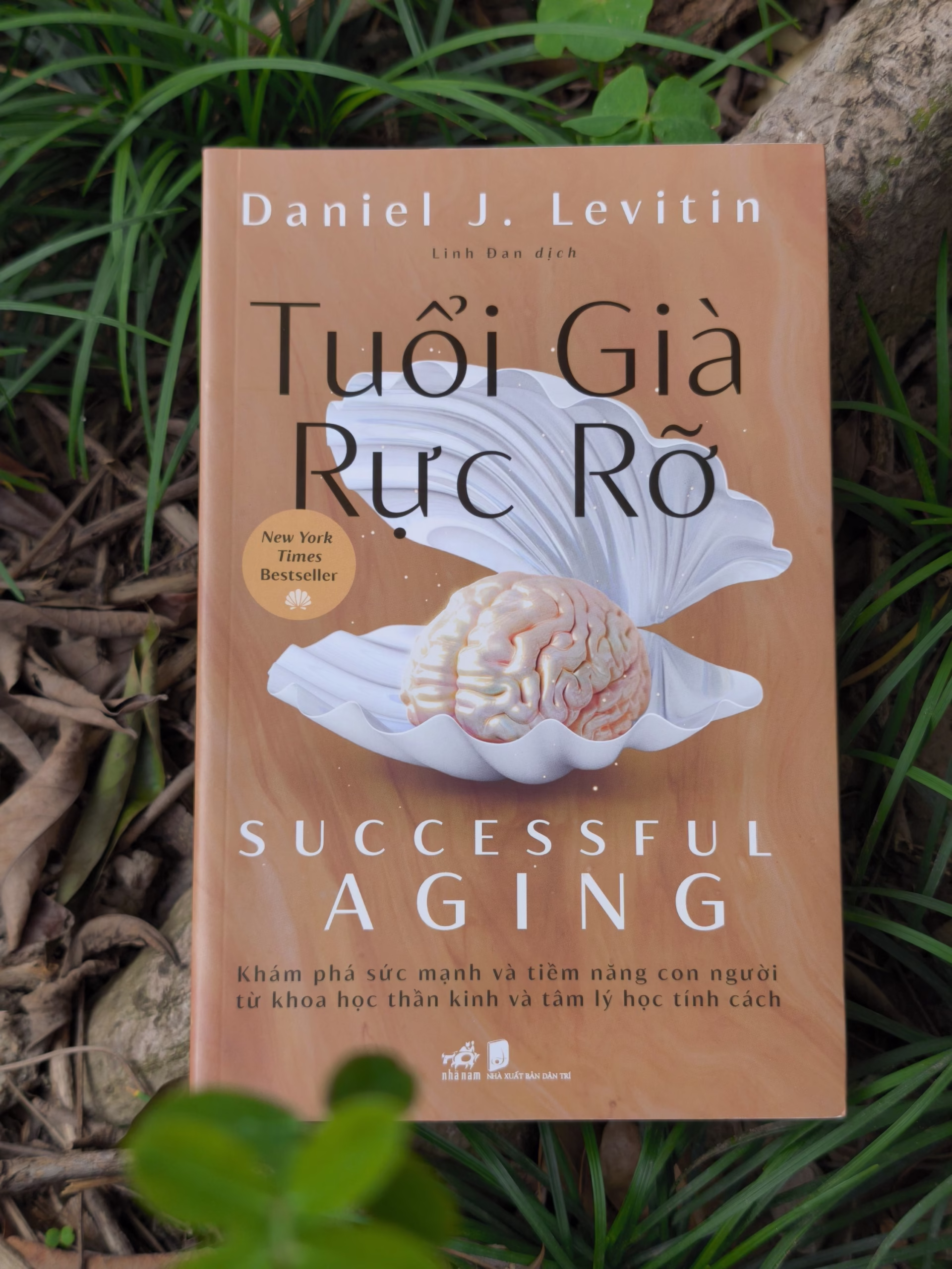 Tuổi già rực rỡ