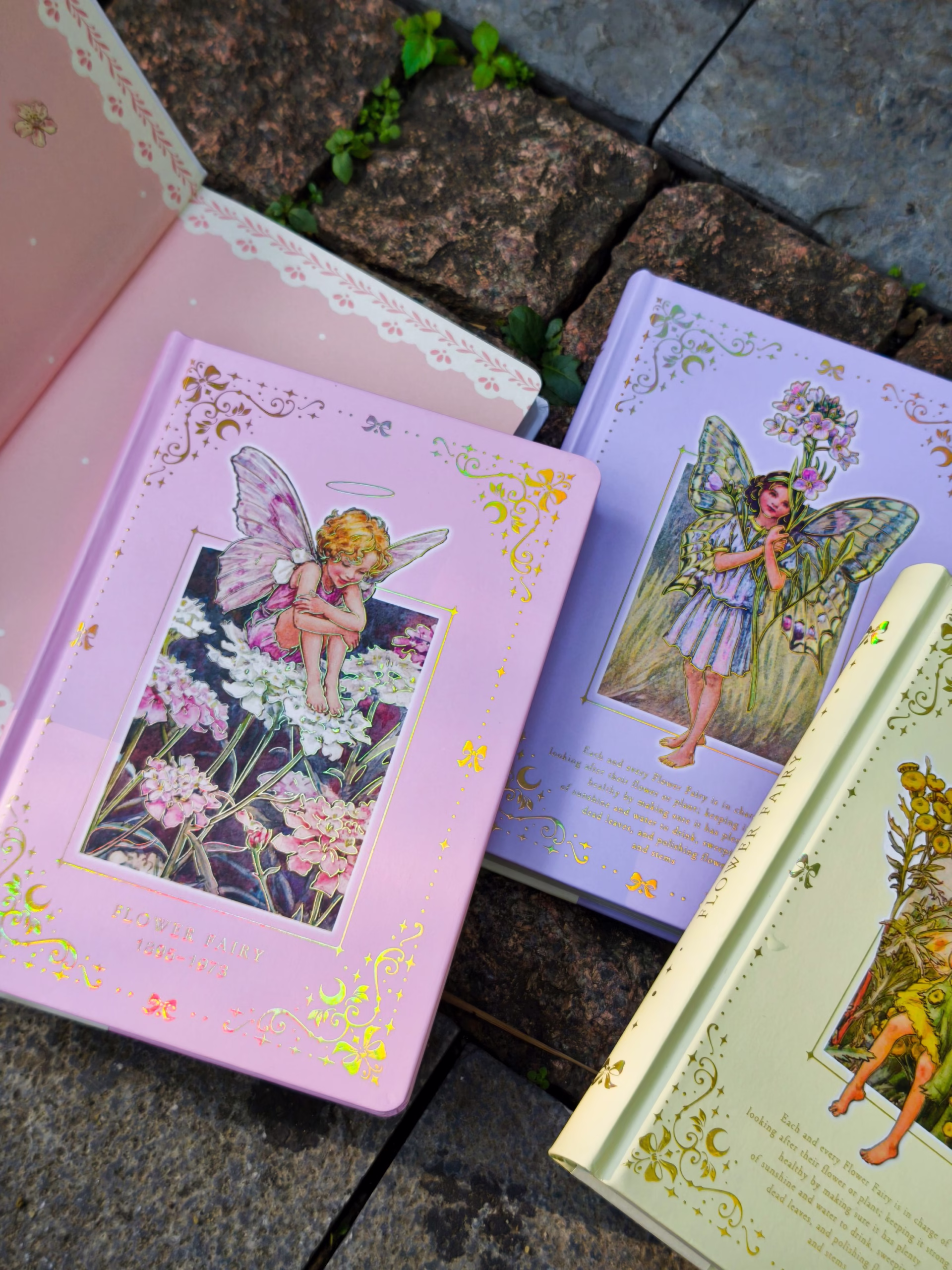 Sổ tiên hoa The Candytuft Fairy (Hồng Ver2)