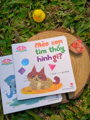 Cuốn sách đầu tiên: Mèo con tìm thấy hình gì?