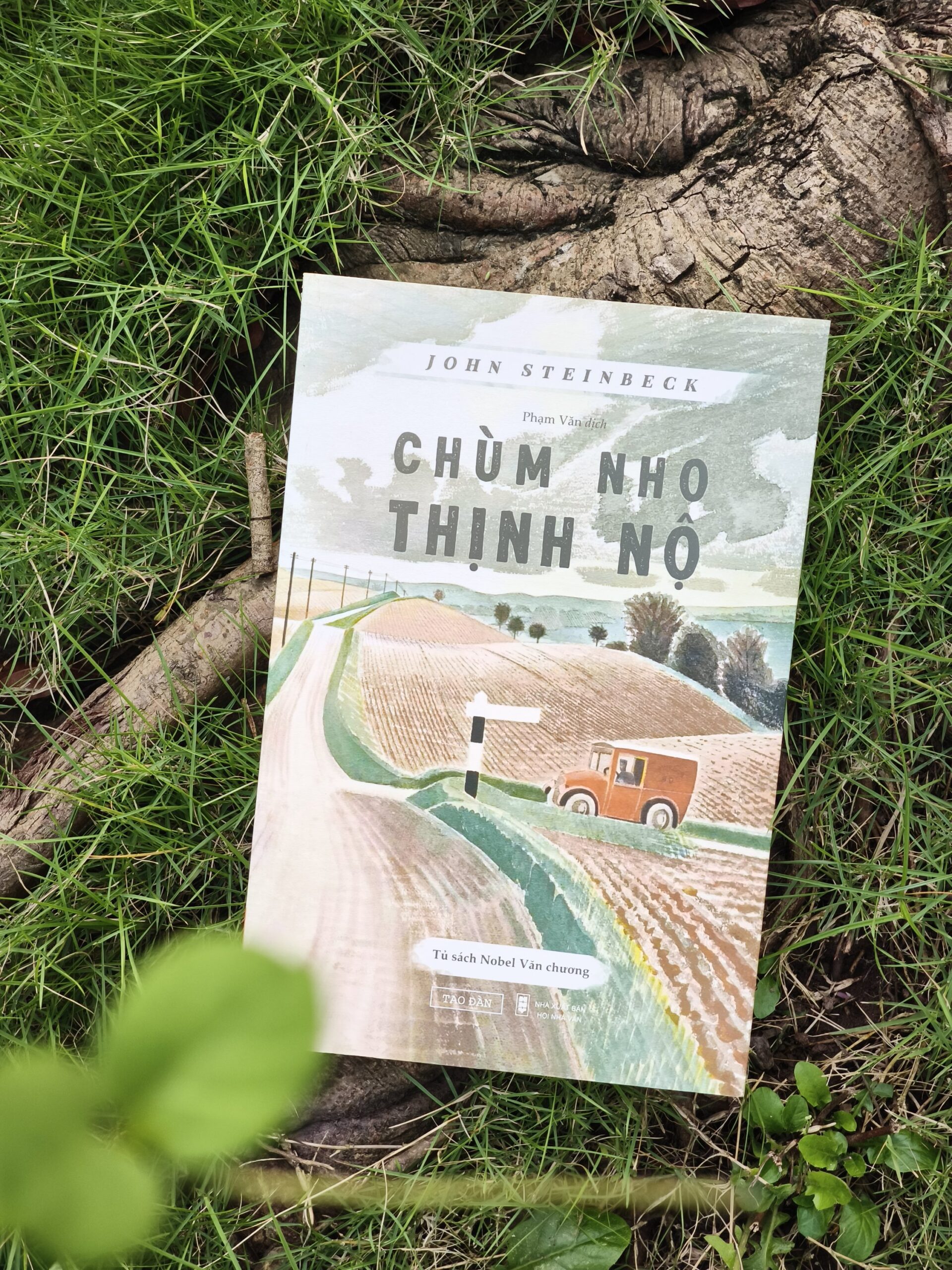 Chùm Nho Thịnh Nộ