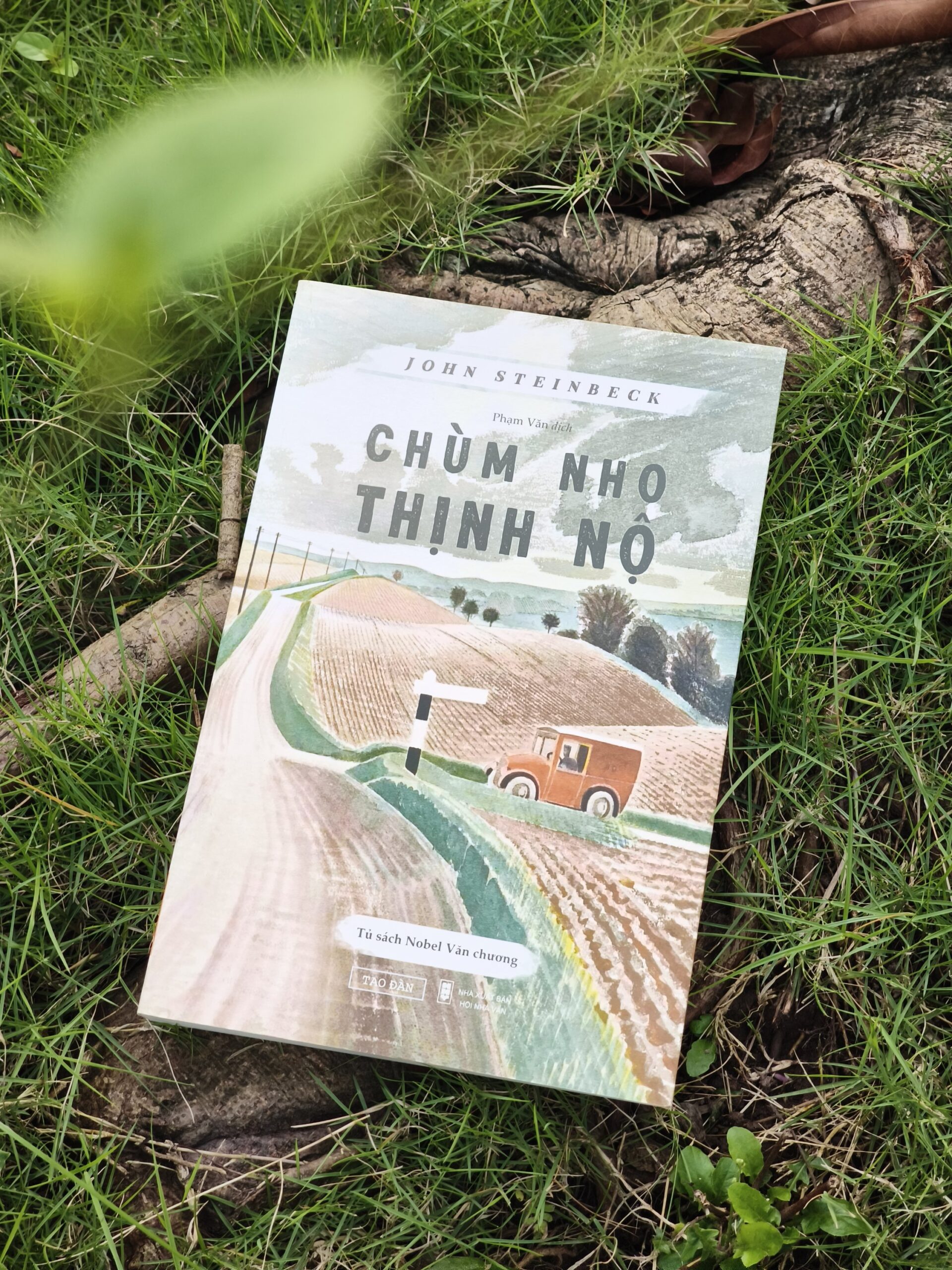 Chùm Nho Thịnh Nộ