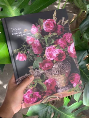 Sổ sketch hoa hồng - Ferdinand Georg Waldmüller