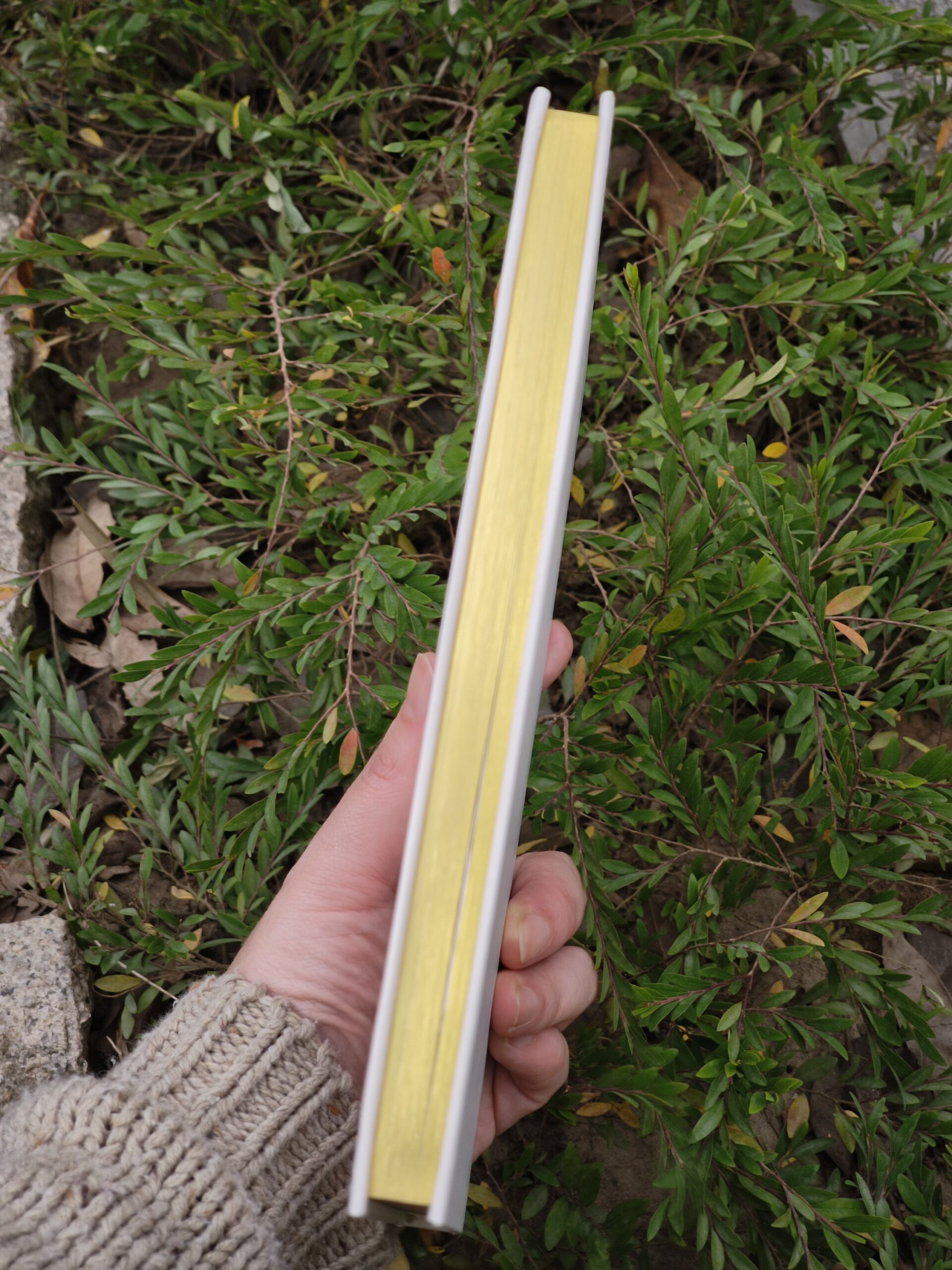 Sổ Self care journal prompt book