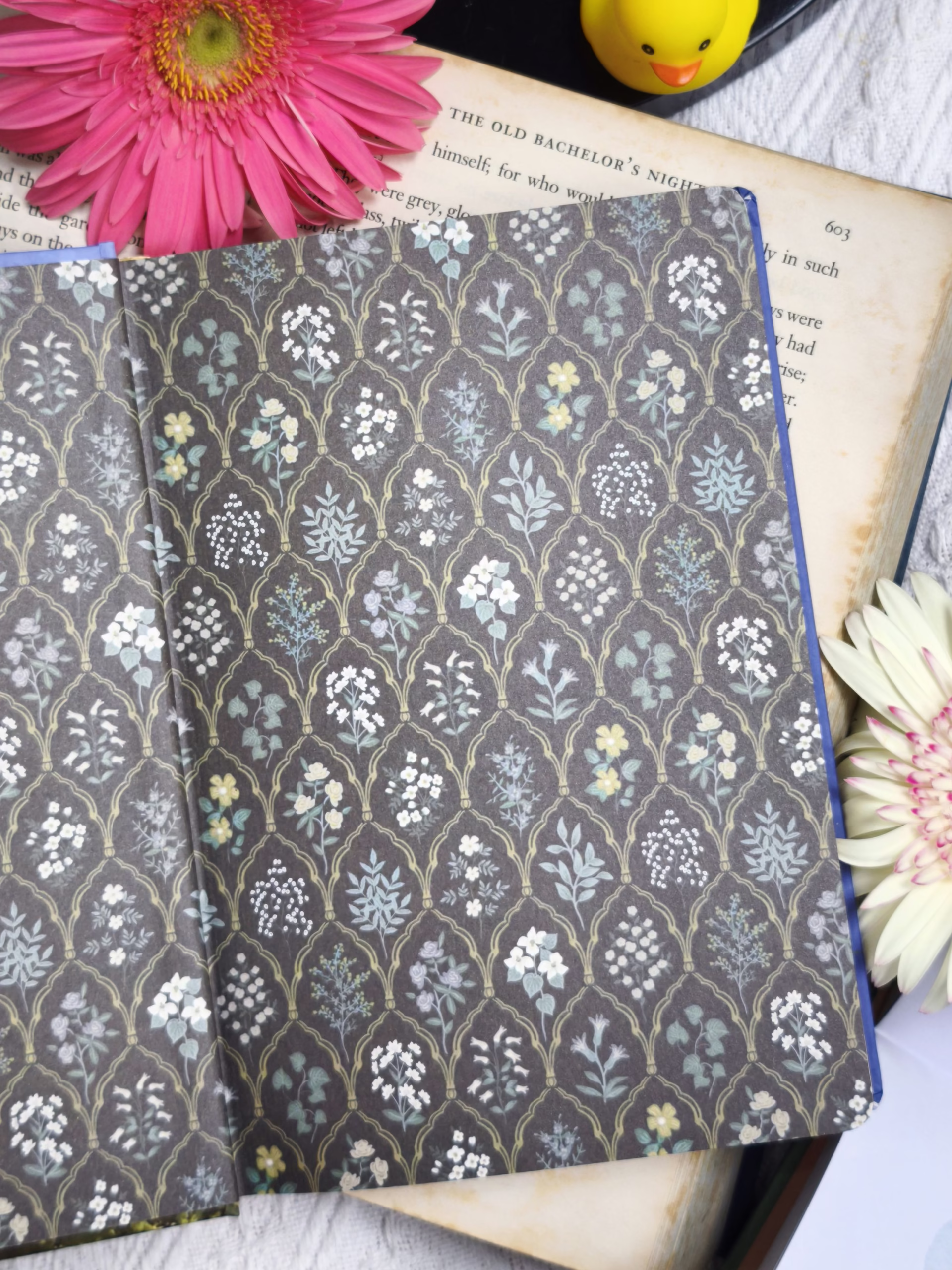 Sổ tranh Thomas Edwin - Lost garden series