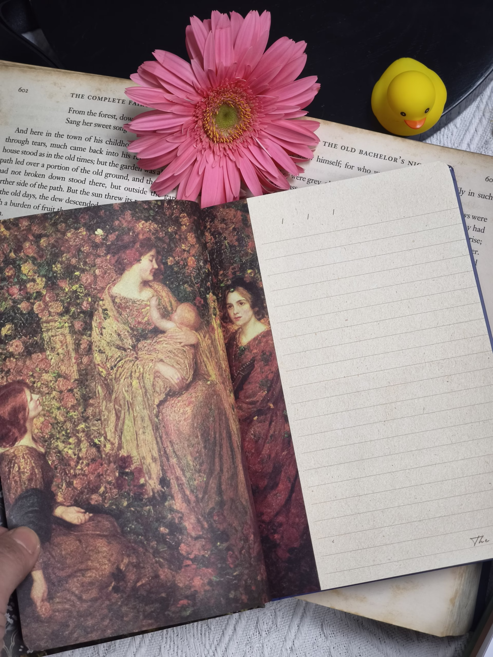 Sổ tranh Thomas Edwin - Lost garden series