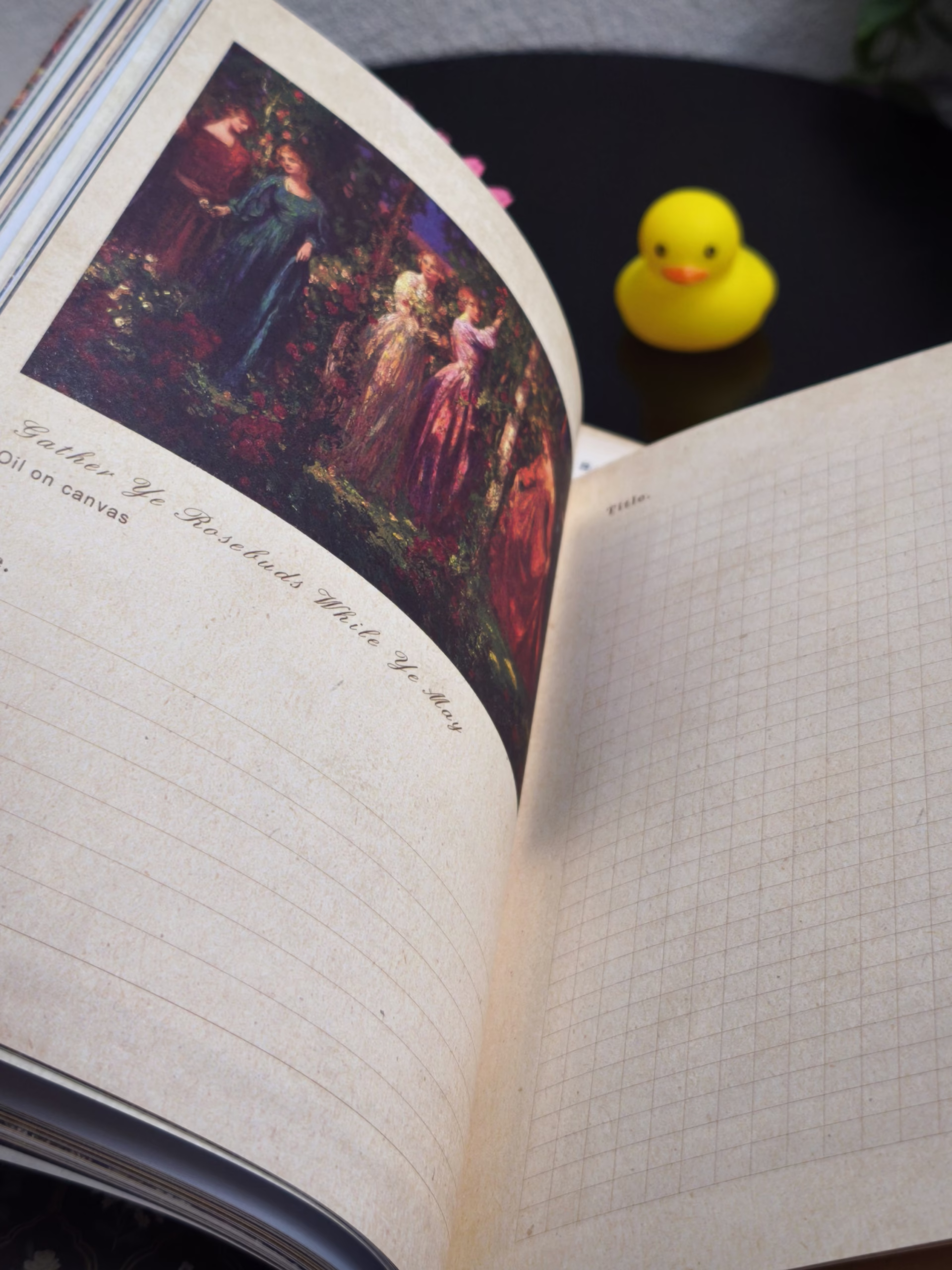 Sổ tranh Thomas Edwin - Lost garden series