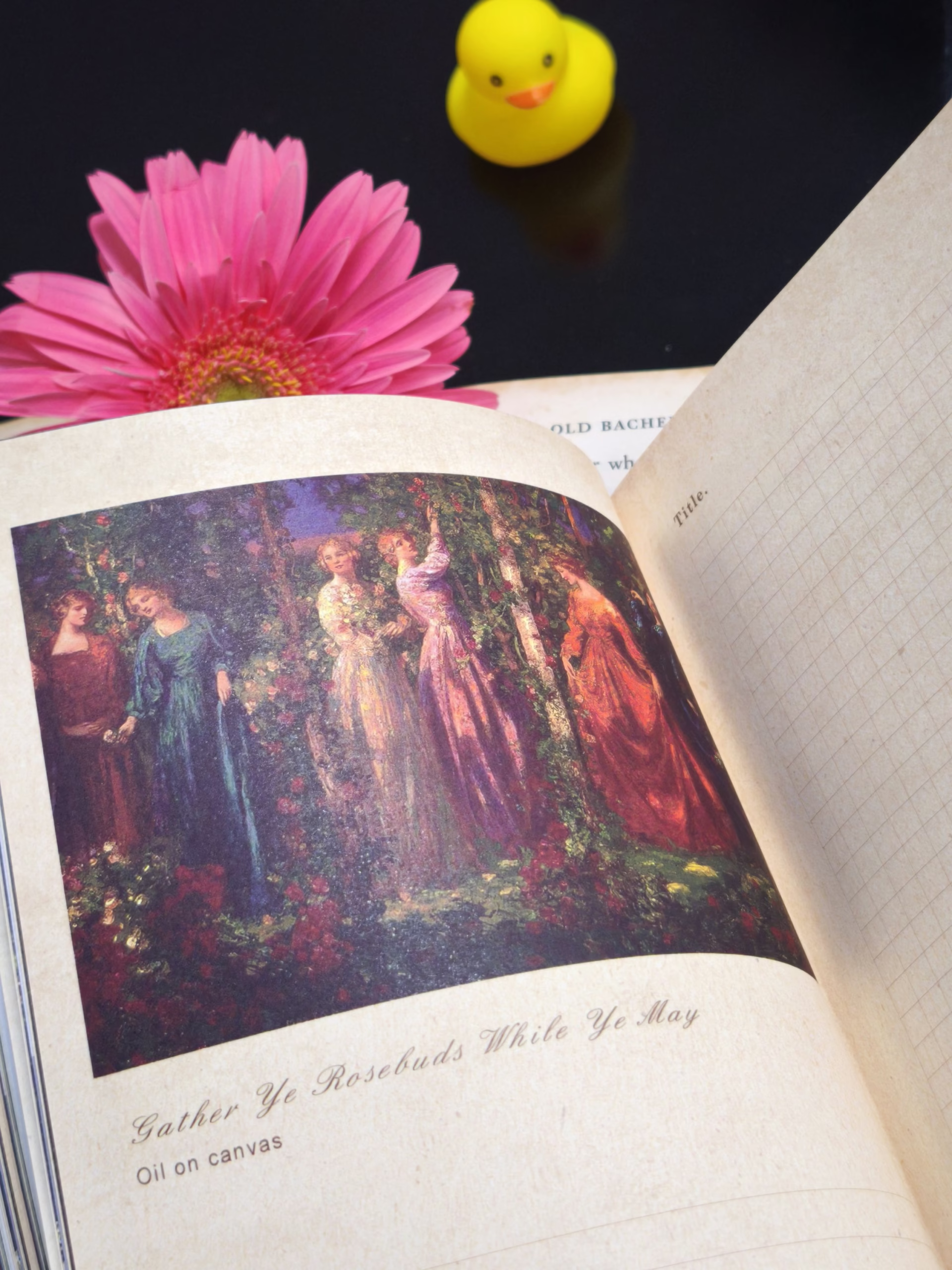 Sổ tranh Thomas Edwin - Lost garden series