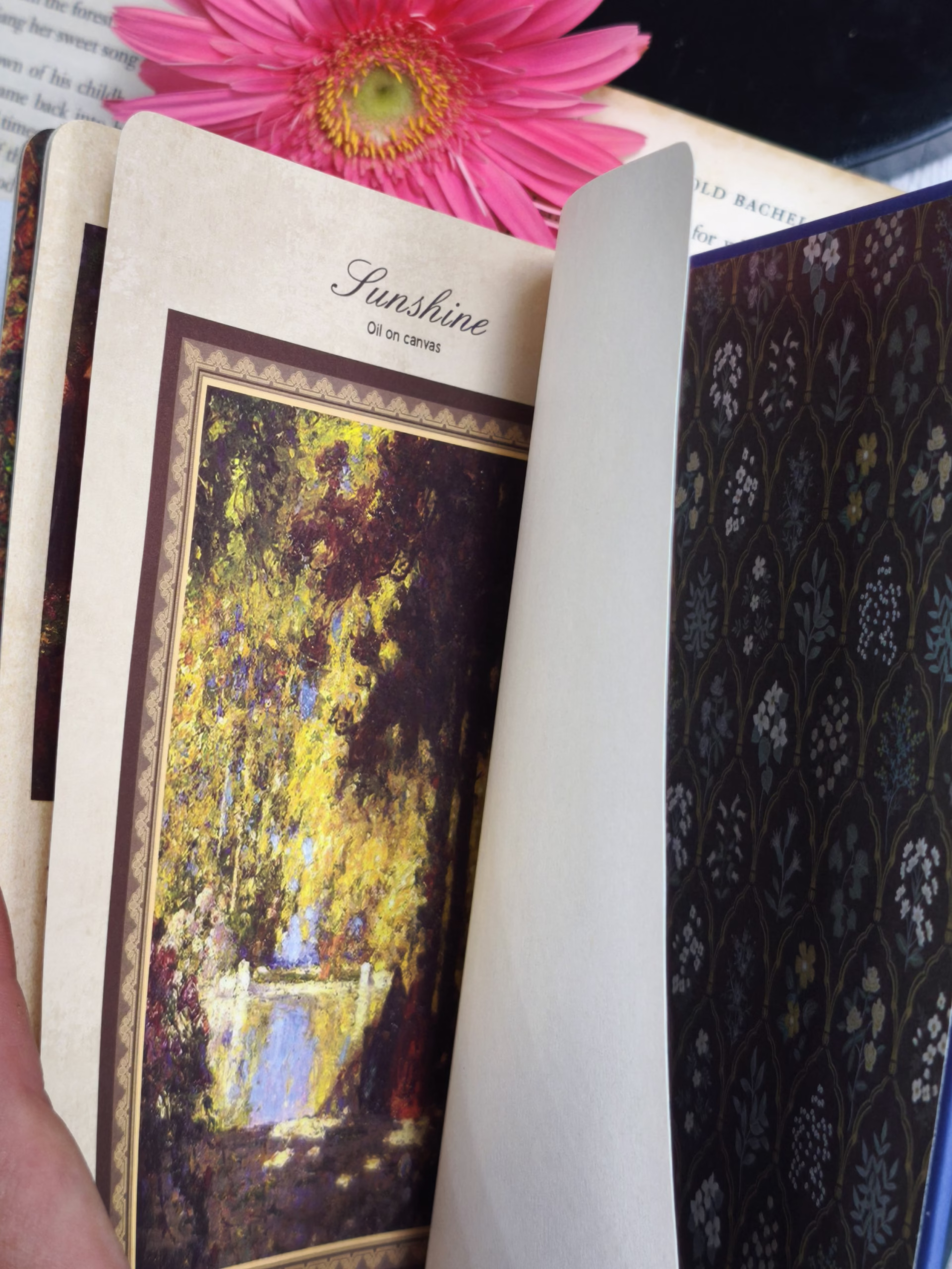 Sổ tranh Thomas Edwin - Lost garden series