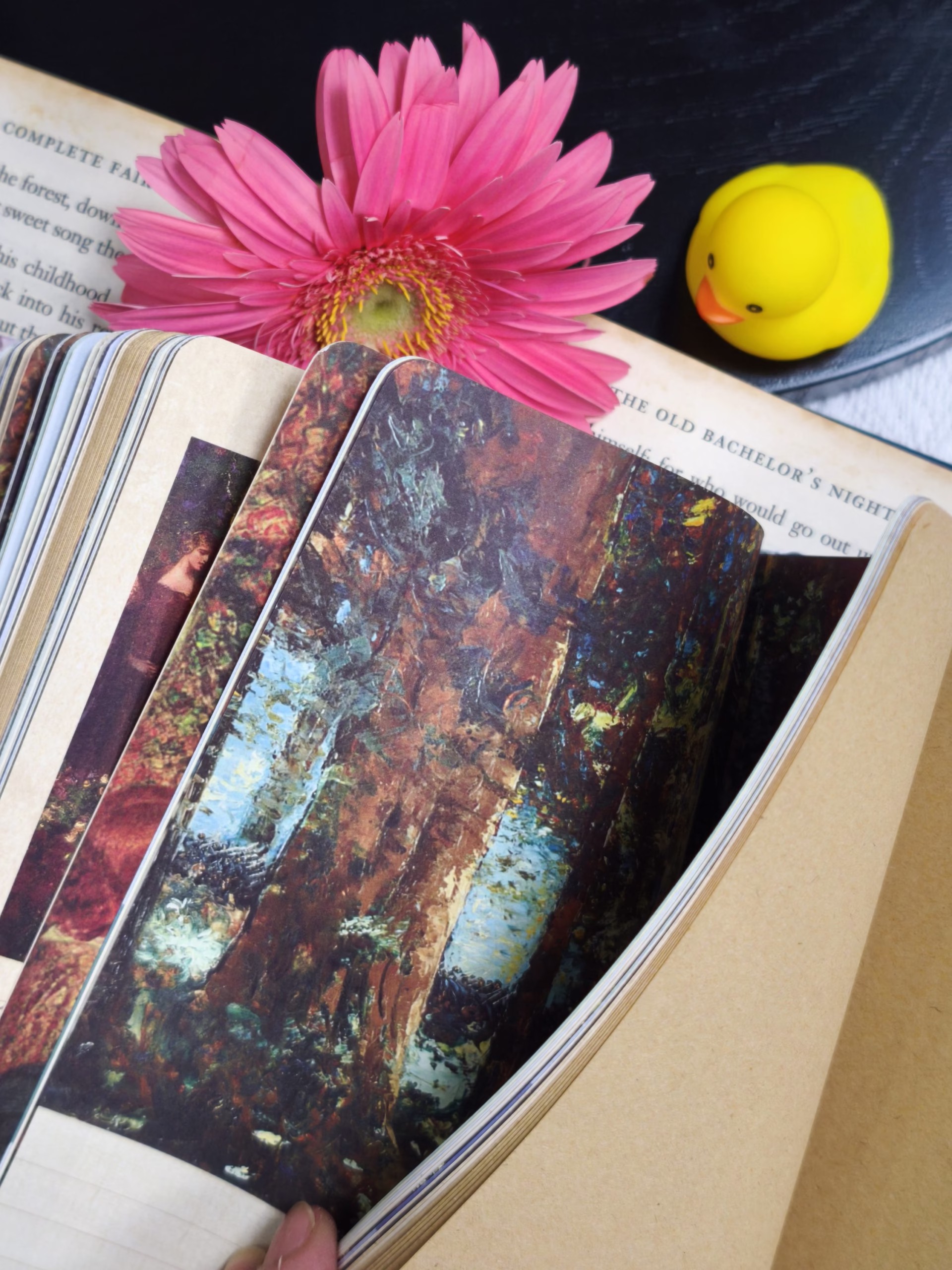 Sổ tranh Thomas Edwin - Lost garden series