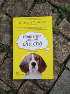 Hành Trình Của Một Chú Chó