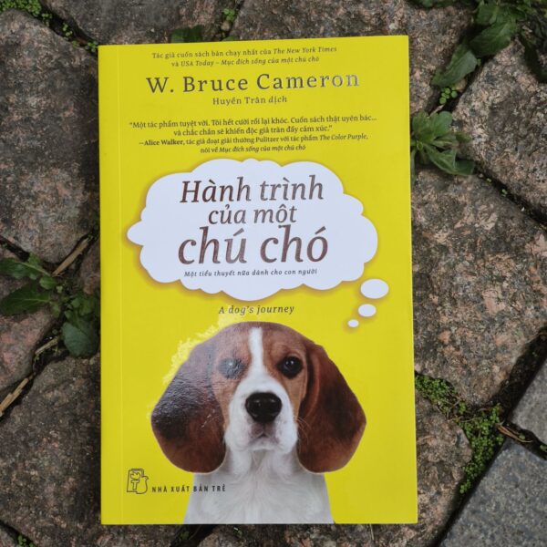 Hành Trình Của Một Chú Chó