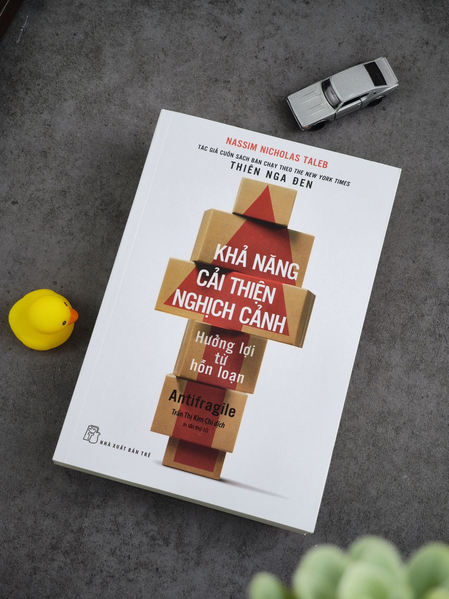 Khả Năng Cải Thiện Nghịch Cảnh - Hưởng Lợi Từ Sự Hỗn Loạn