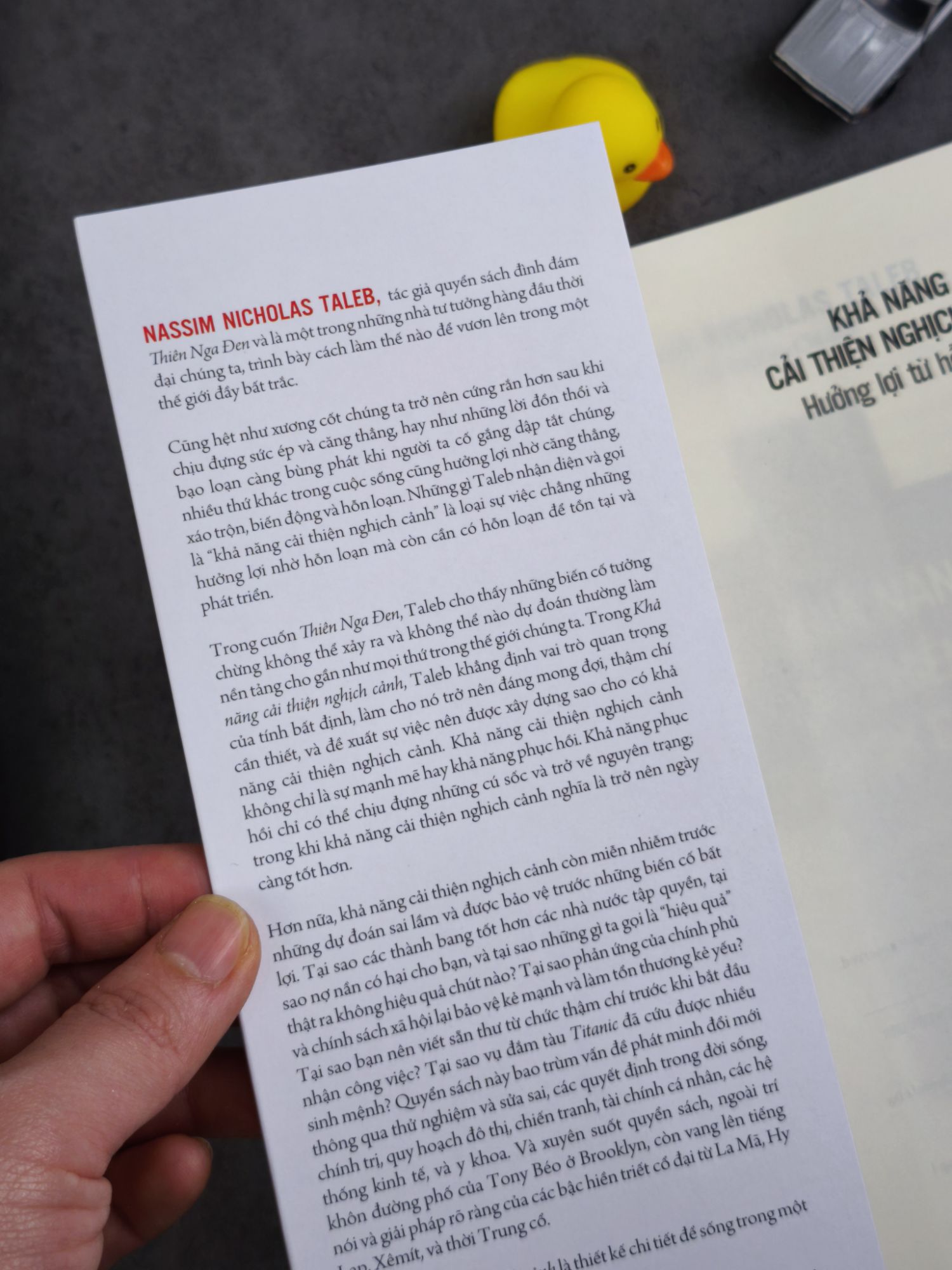 Khả Năng Cải Thiện Nghịch Cảnh - Hưởng Lợi Từ Sự Hỗn Loạn