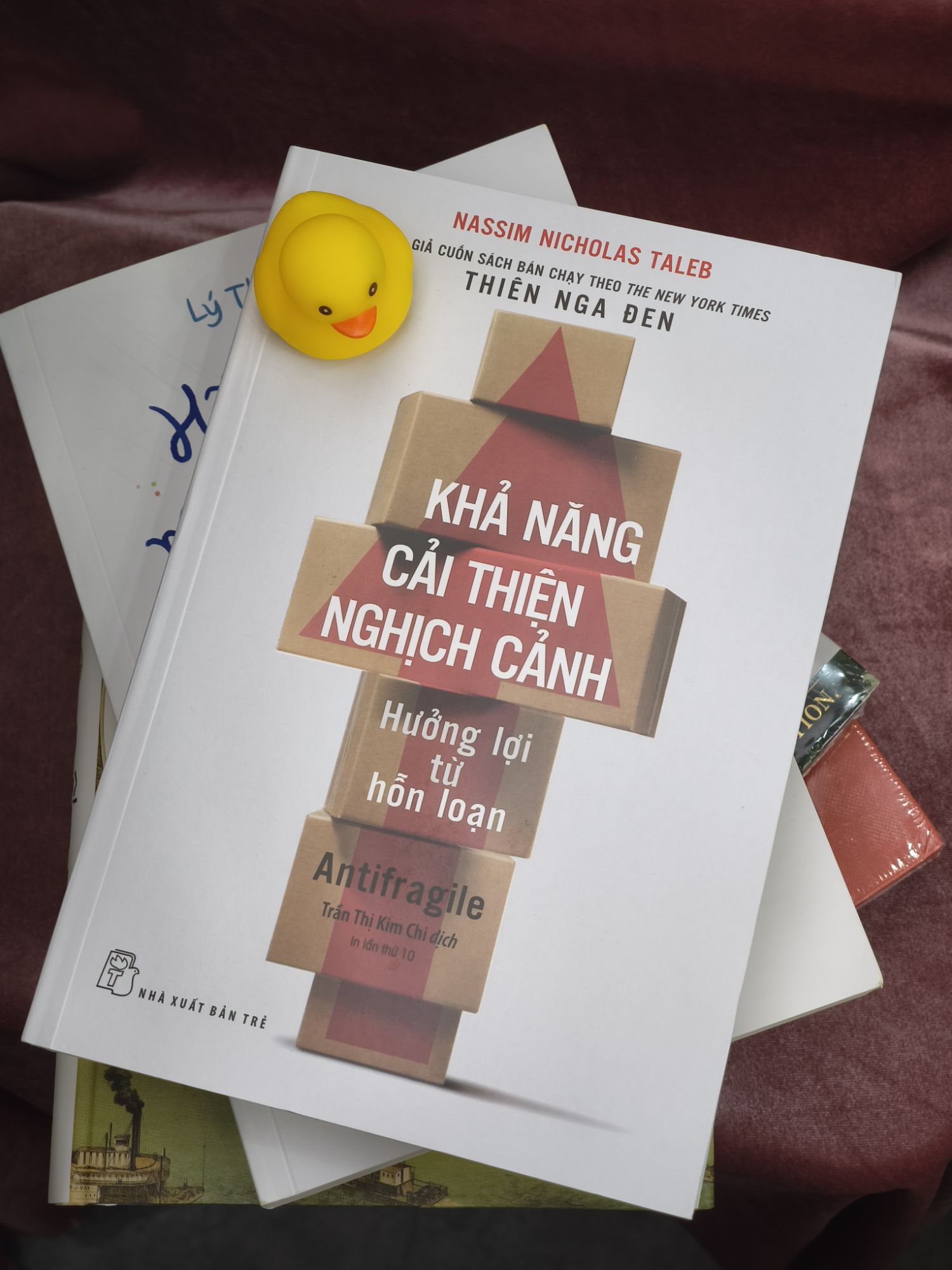 Khả Năng Cải Thiện Nghịch Cảnh - Hưởng Lợi Từ Sự Hỗn Loạn