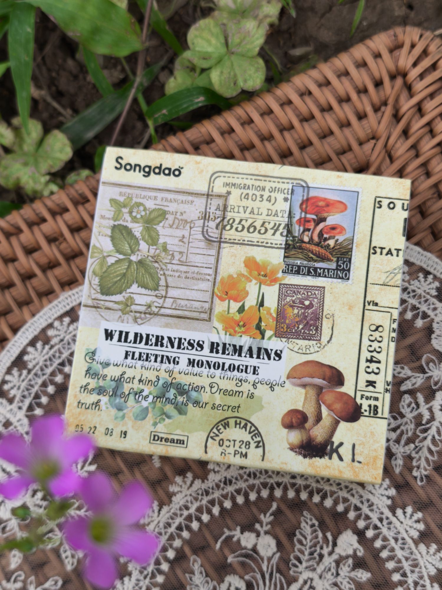 Washi tape Wilderness remains 20 cuộn