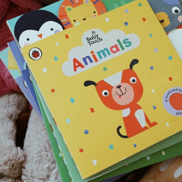 Baby Touch: Animals Tab Book