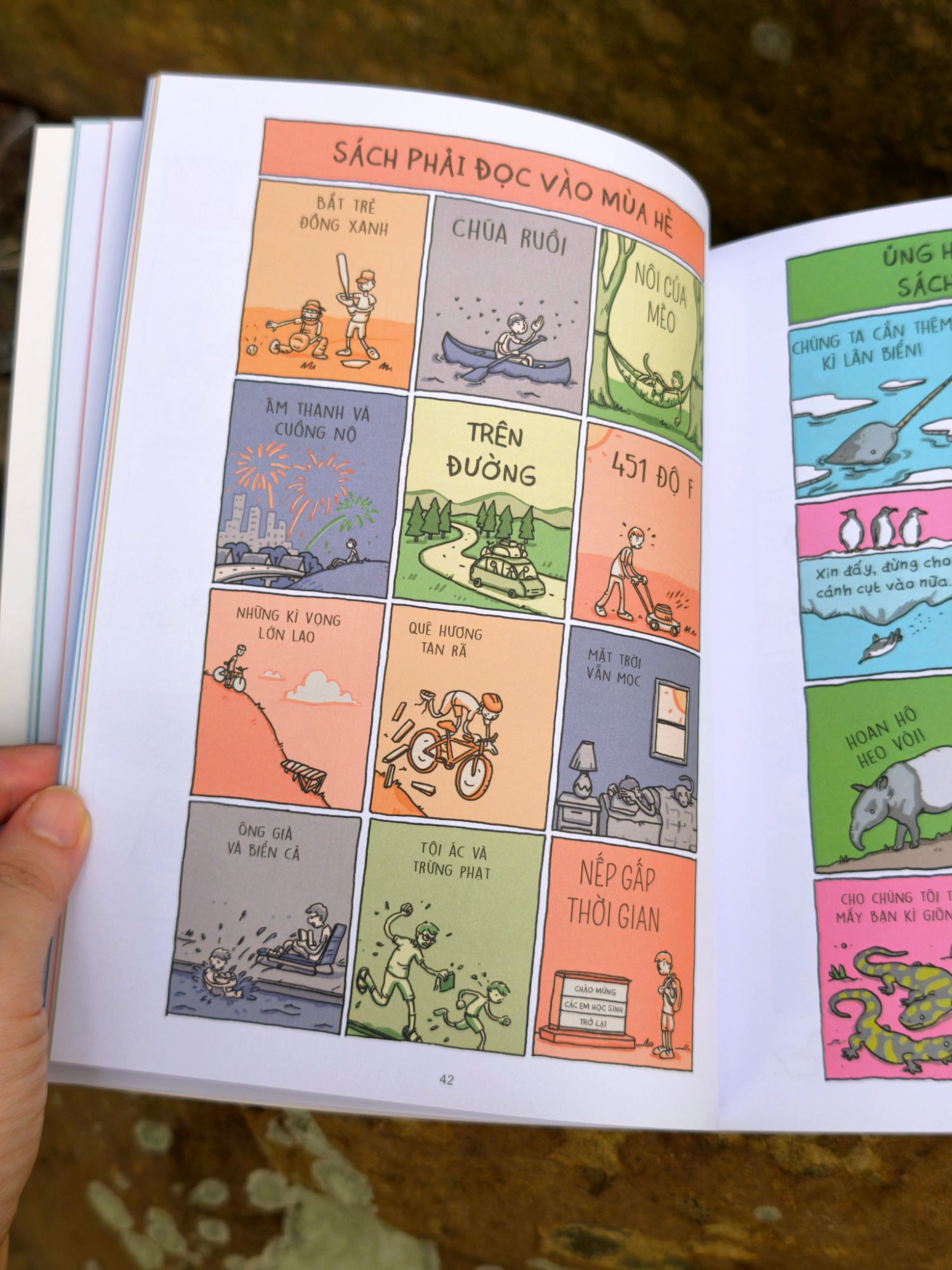 Trông Sách Đoán Người - I Will Judge You By Your Bookshelf