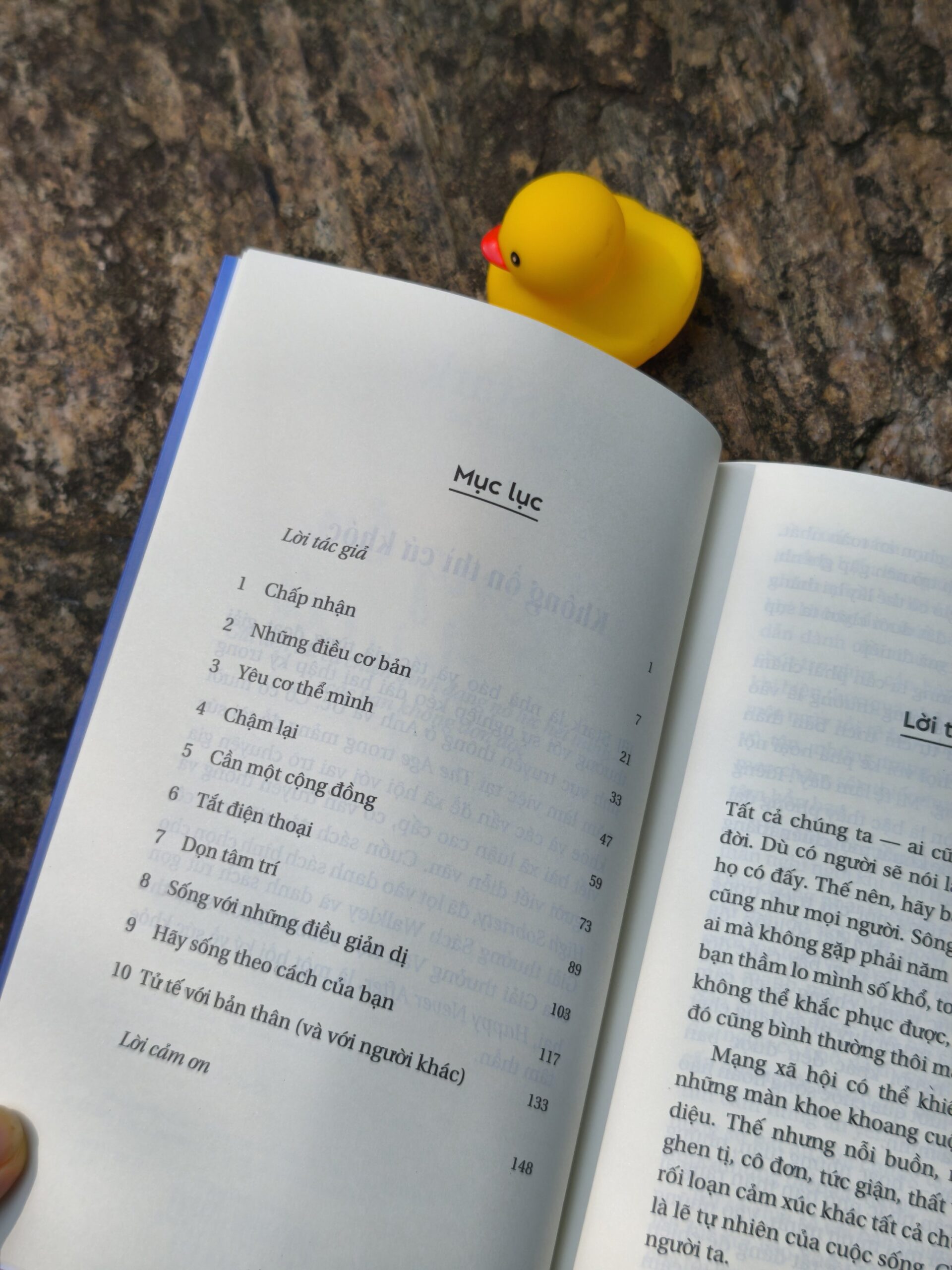 Không ổn thì cứ khóc - Cẩm nang vượt qua ngày bão giông